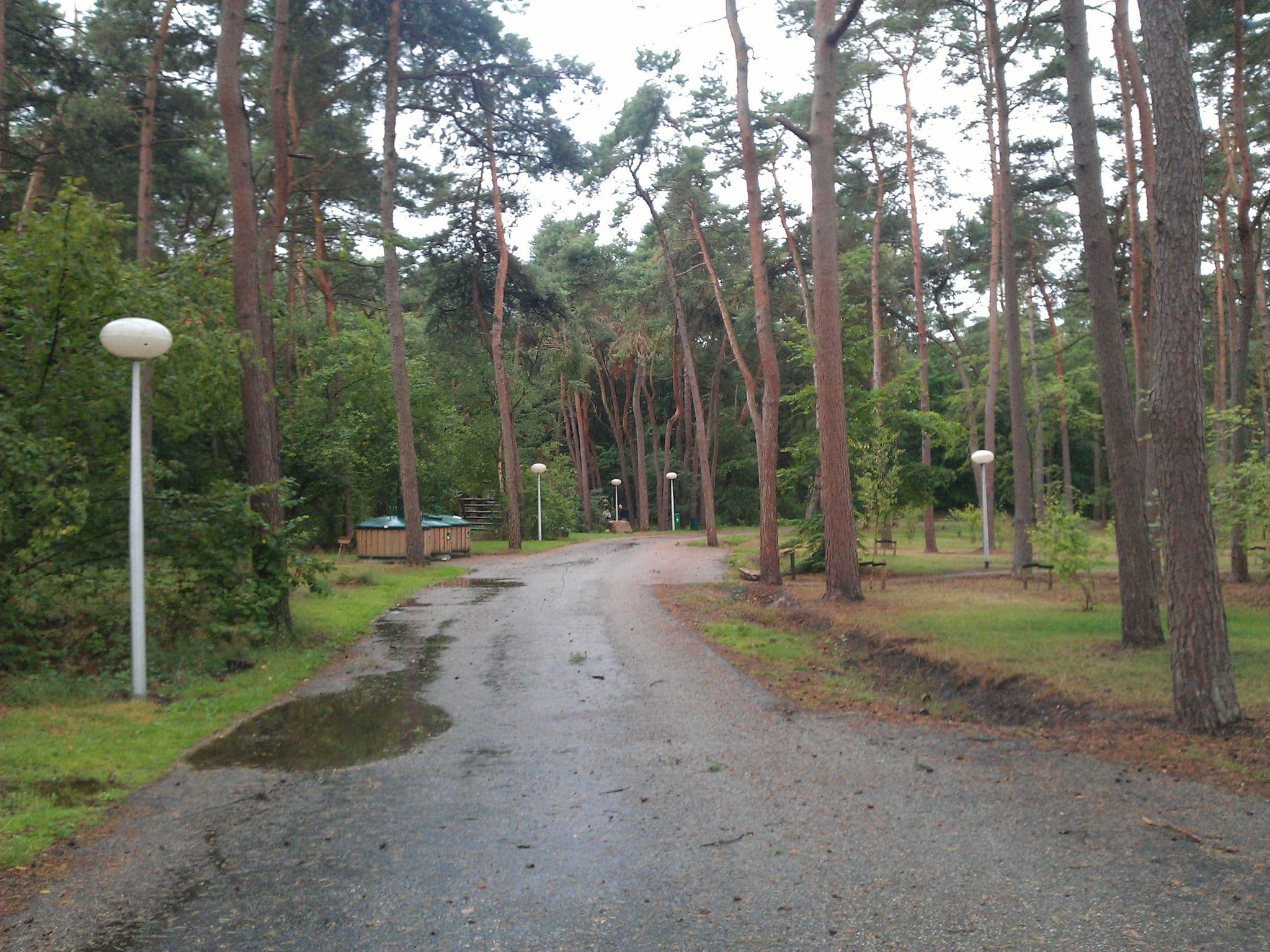 Street view near cottage 876, Hapert — © zuse (CC BY-SA · Mapillary)