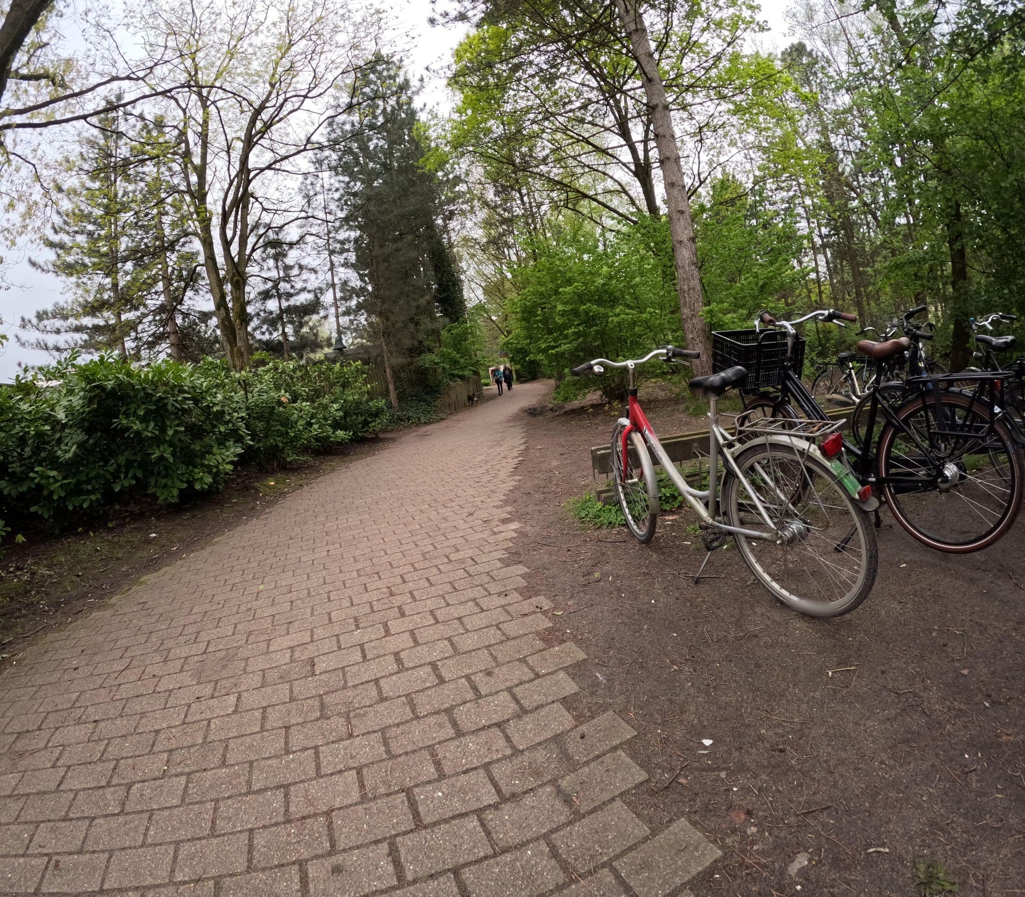 Street view near Cottage 739, Westerhoven — © tjorim (CC BY-SA · Mapillary)
