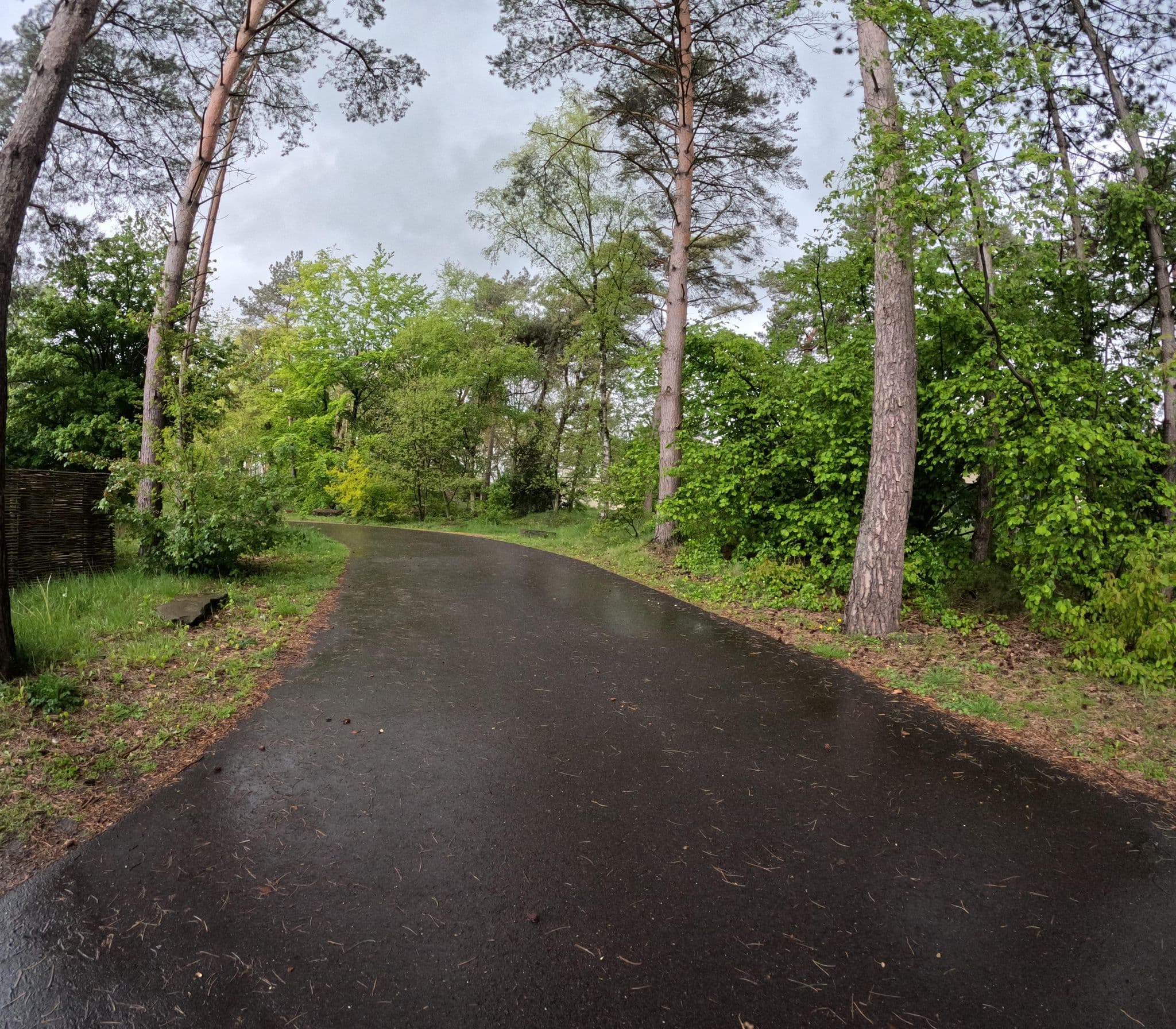 Street view near Cottage 812 Eden, Westerhoven — © tjorim (CC BY-SA · Mapillary)
