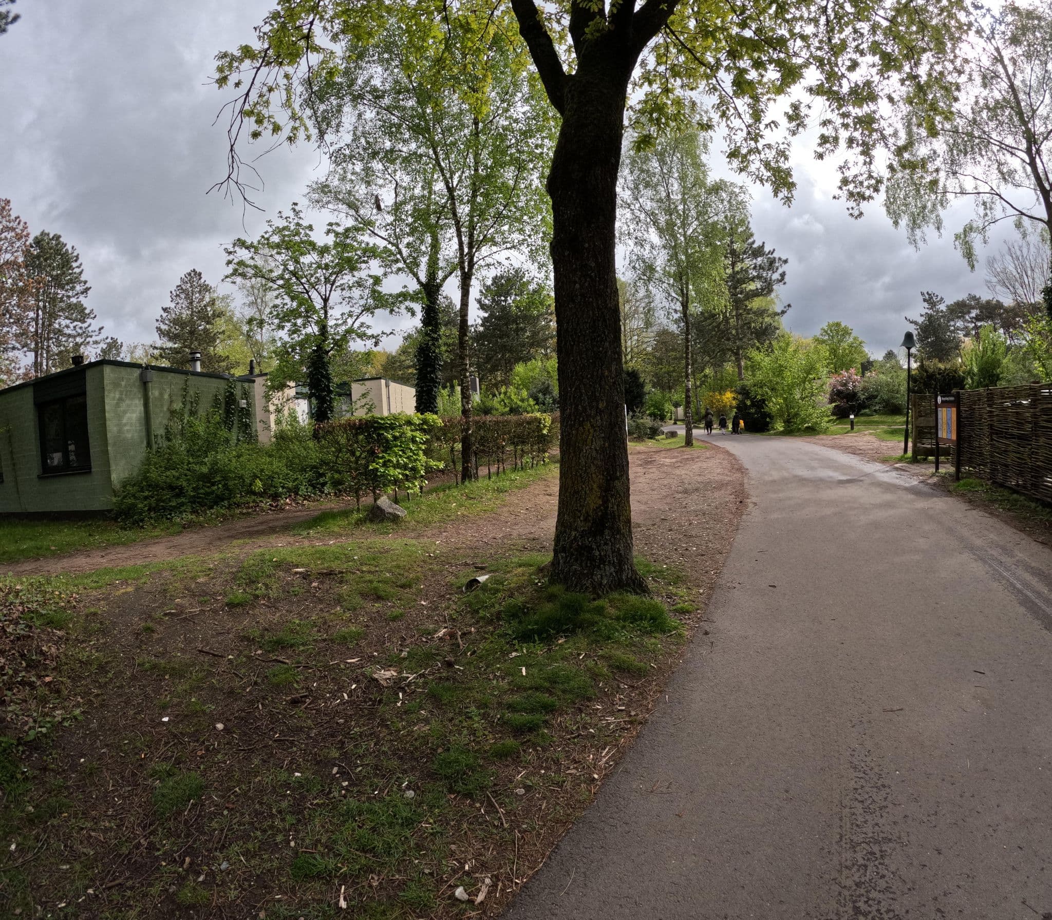 Street view near Cottage 270, Westerhoven — © tjorim (CC BY-SA · Mapillary)