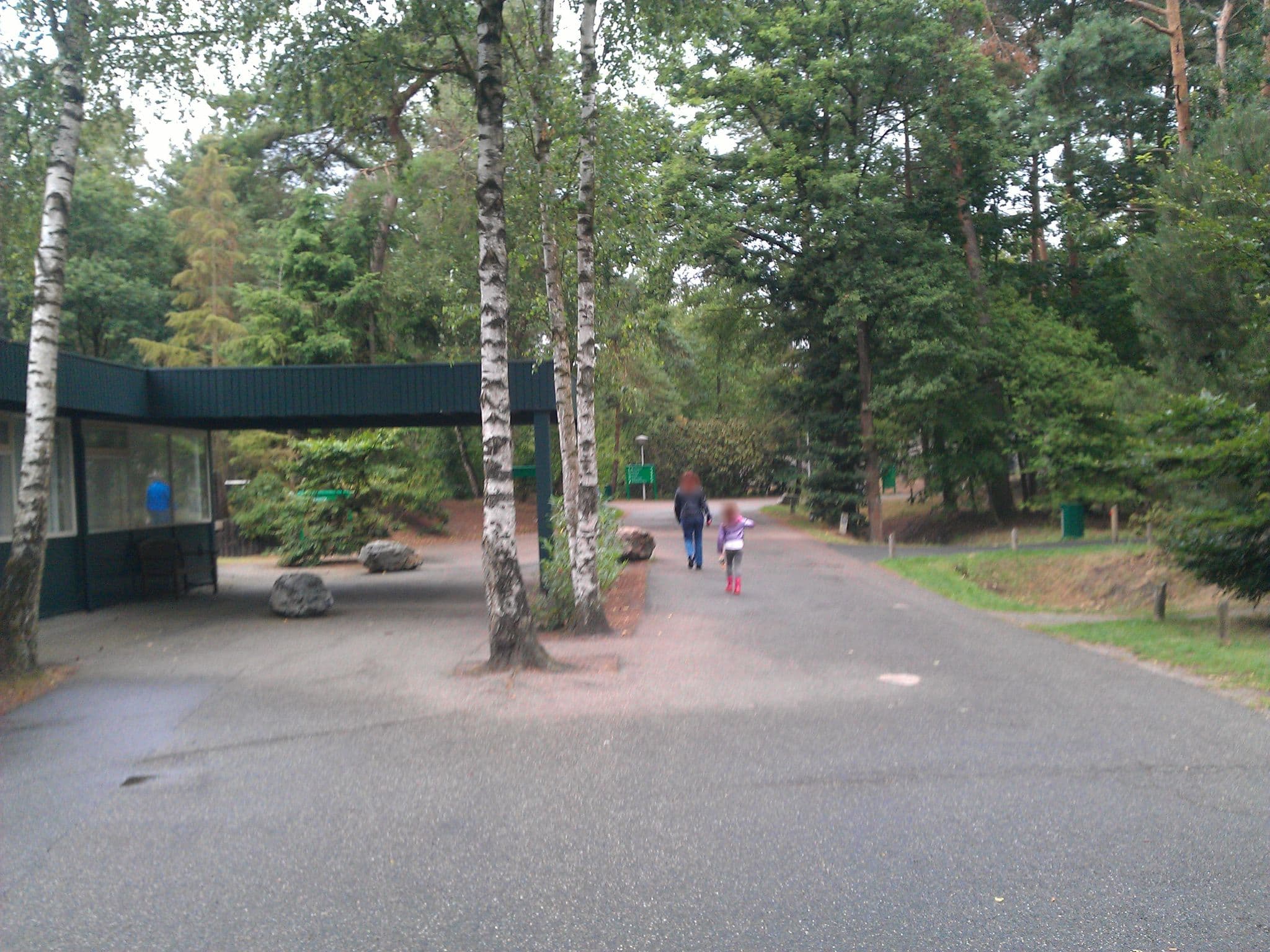 Street view near Cottage 402, Hapert — © zuse (CC BY-SA · Mapillary)
