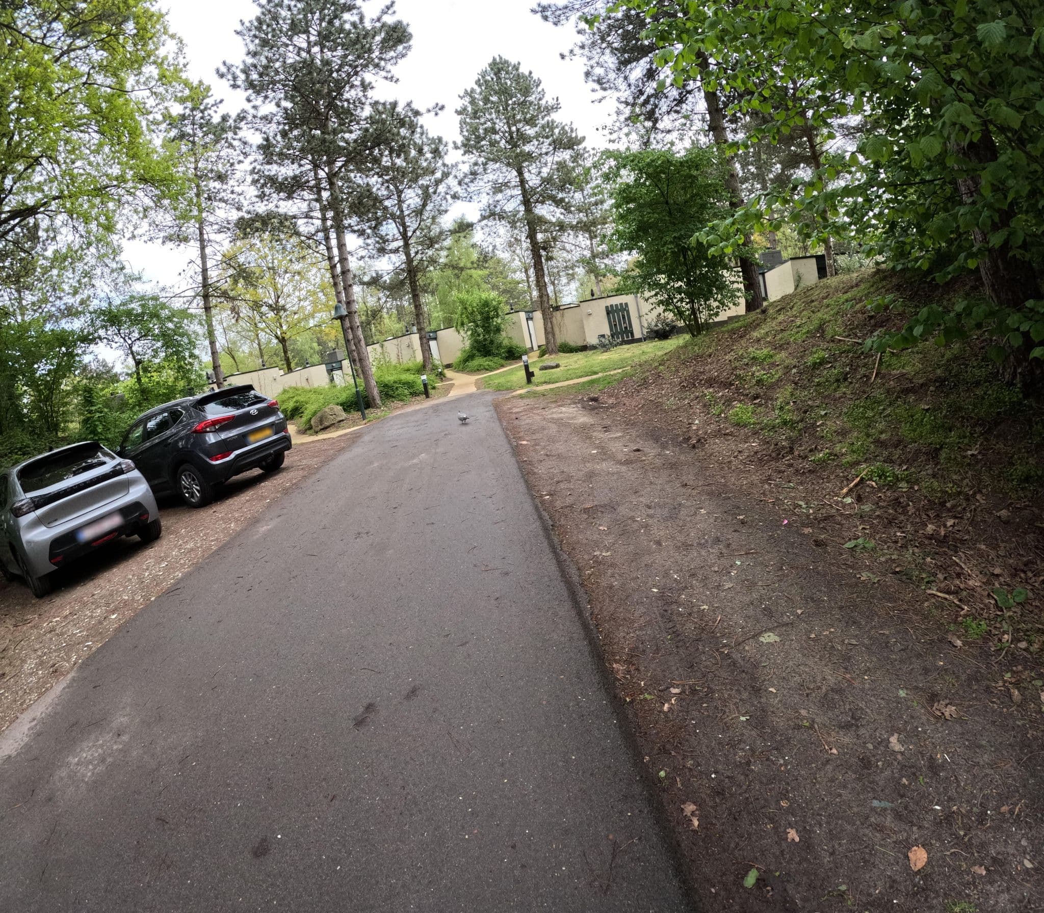 Street view near Cottage 984, Westerhoven — © tjorim (CC BY-SA · Mapillary)