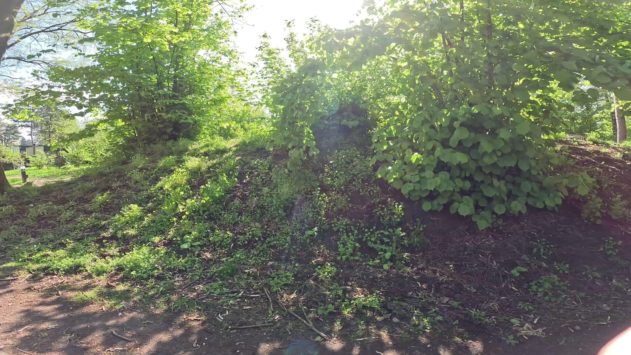 Street view near Cottage 635, Westerhoven — © tjorim (CC BY-SA · Mapillary)