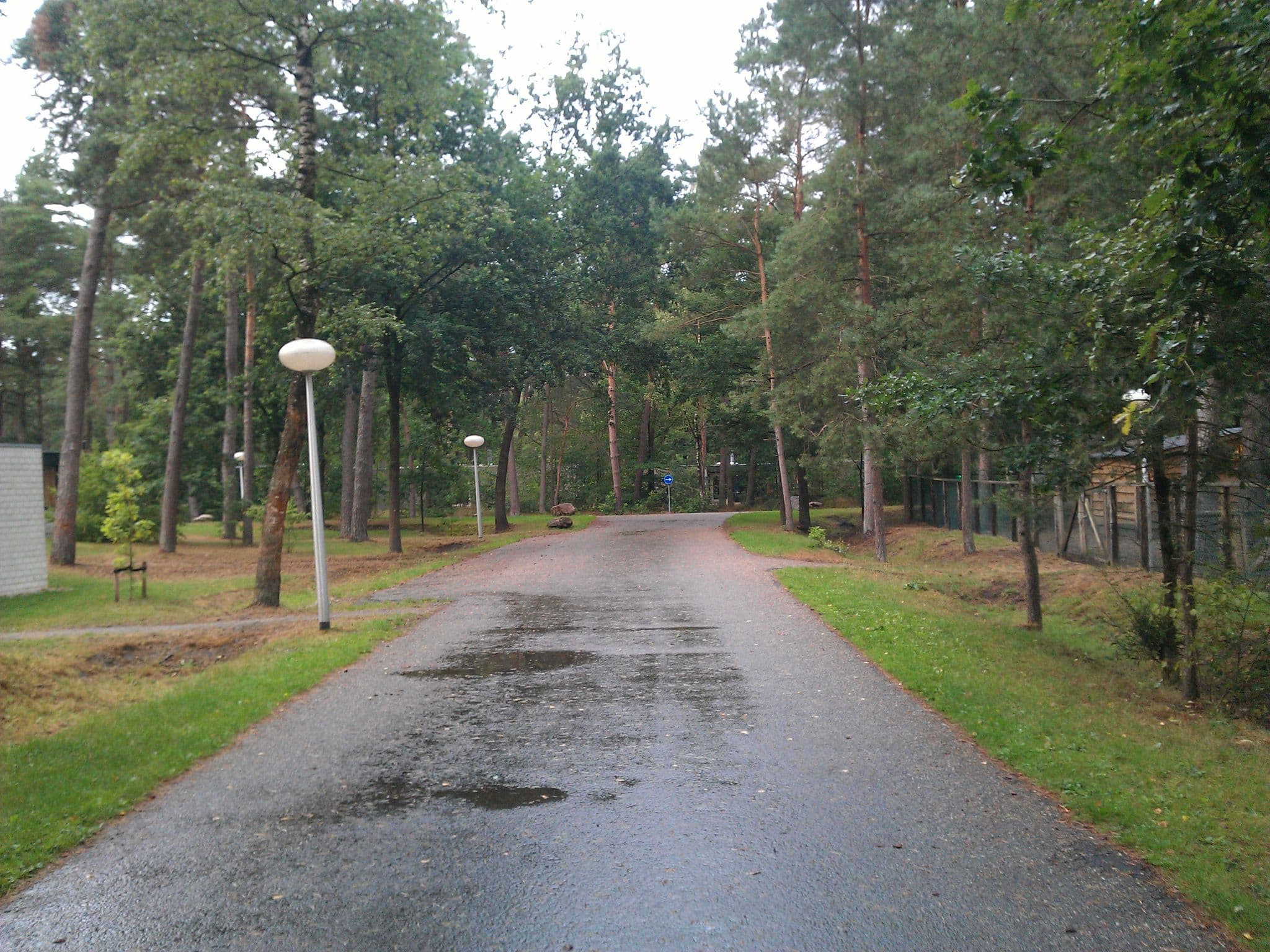 Street view near Cottage 867, Hapert — © zuse (CC BY-SA · Mapillary)