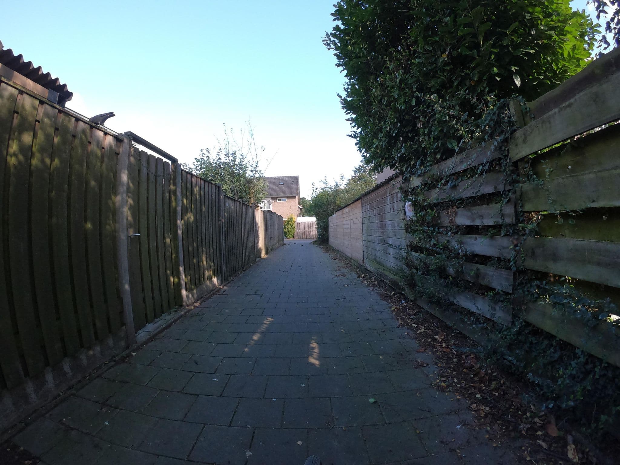 Street view near b&b aan het park, Jagershoef — © pbb (CC BY-SA · Mapillary)