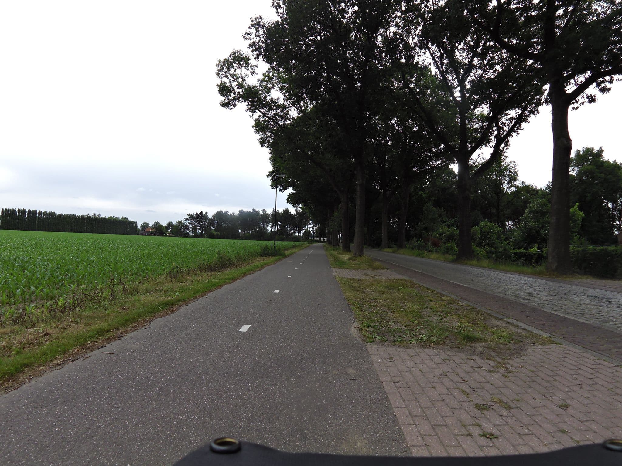 Street view near B&B Bij het bosch, Bladel — © sander_h (CC BY-SA · Mapillary)