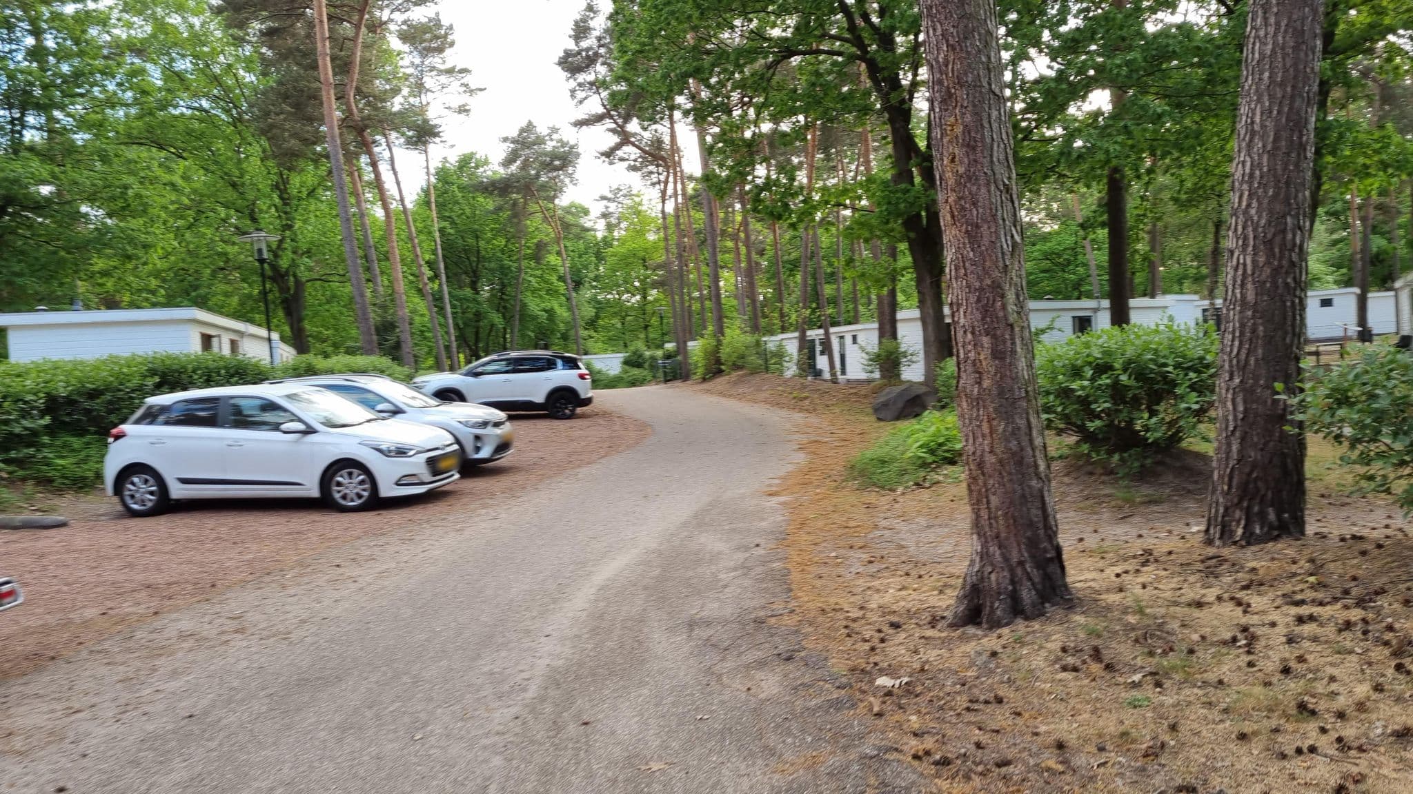 Street view near wolfsven cottage 244, Mierlo — © boonieoetgelaen (CC BY-SA · Mapillary)