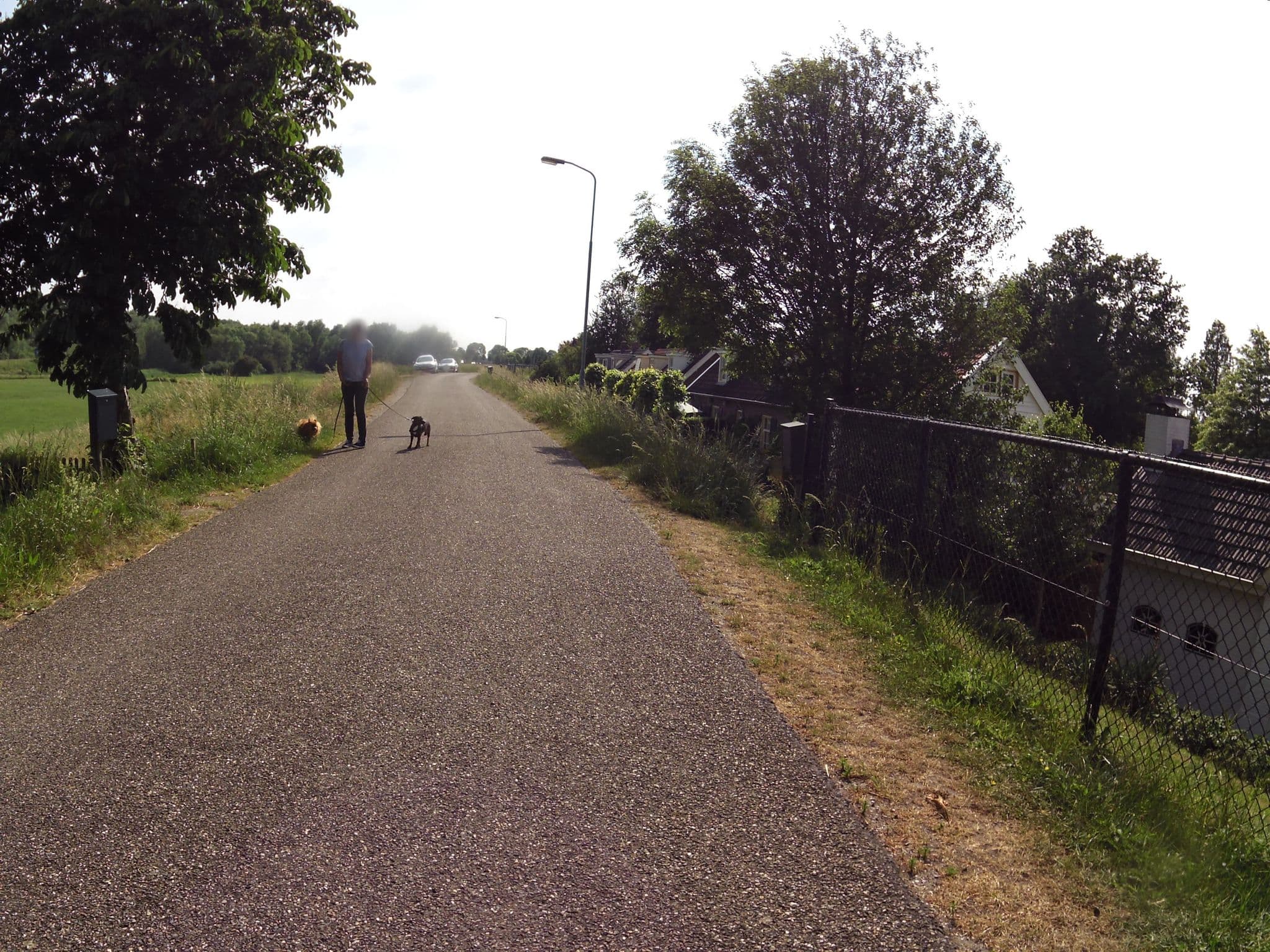 Street view near Bed & Breakfast Oprome, Rossum — © marczoutendijk (CC BY-SA · Mapillary)