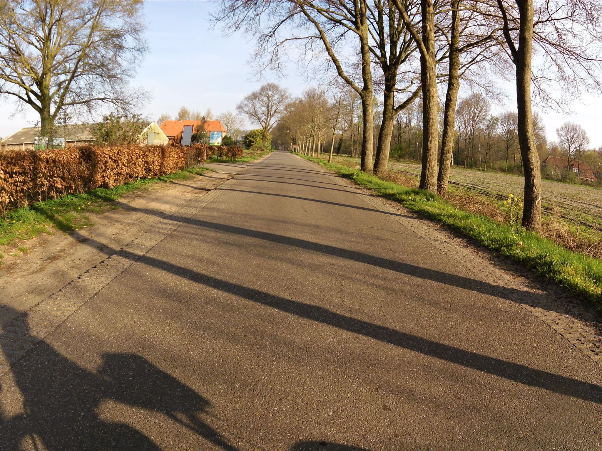 Street view near B&B De Kamelenmelkerij, Berlicum — © marczoutendijk (CC BY-SA · Mapillary)