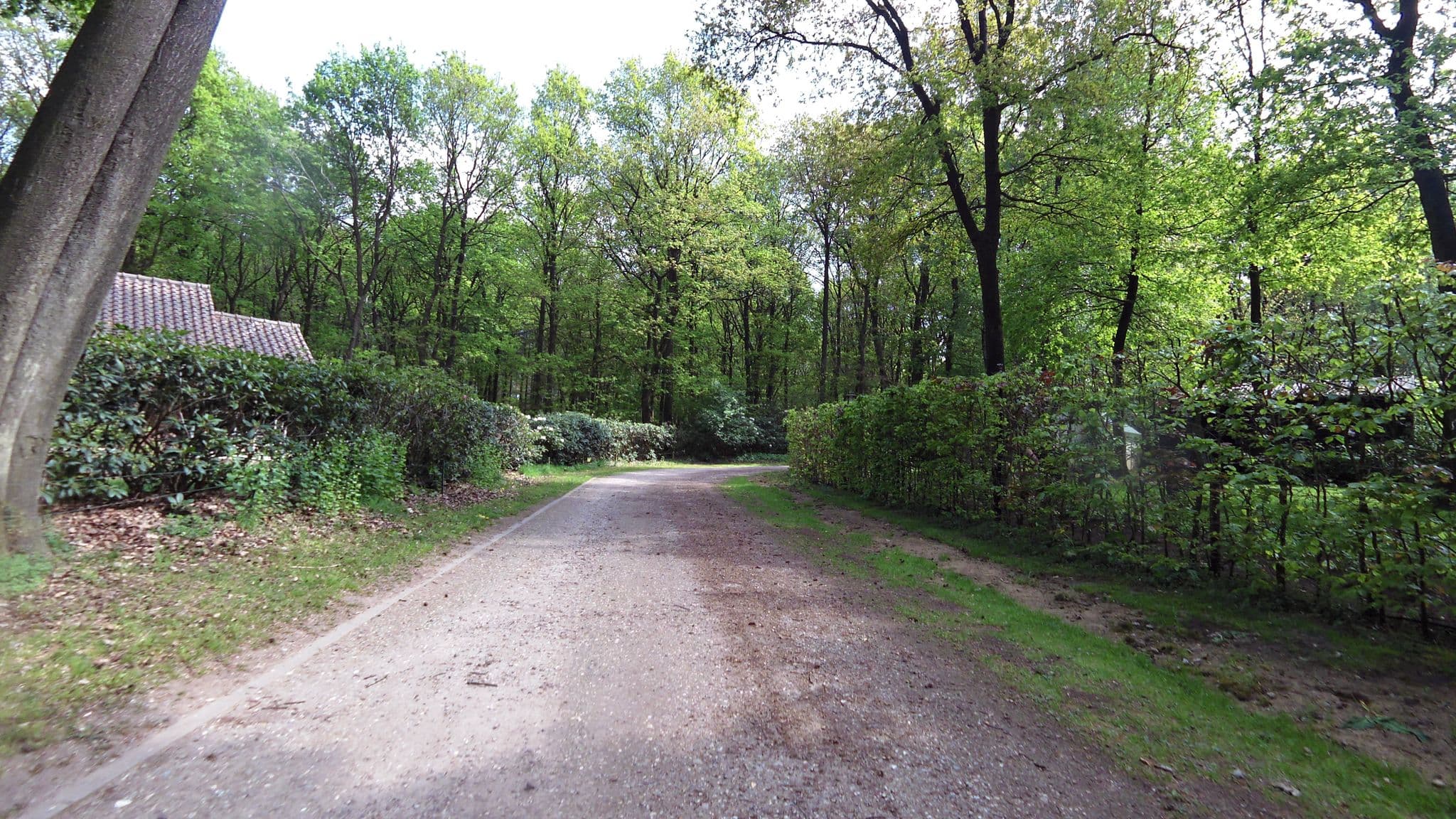Street view near De Havik, Bennekom — © multimodaal (CC BY-SA · Mapillary)