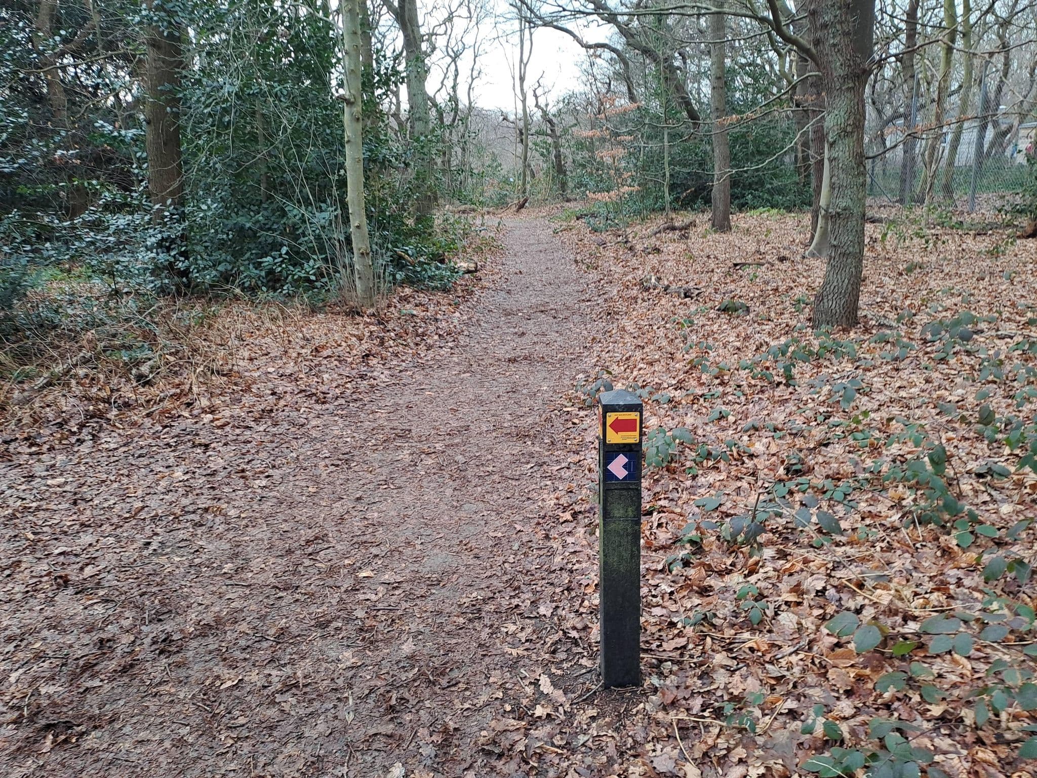 Street view near Huisje 497, Kijkduin — © multi_wandel (CC BY-SA · Mapillary)