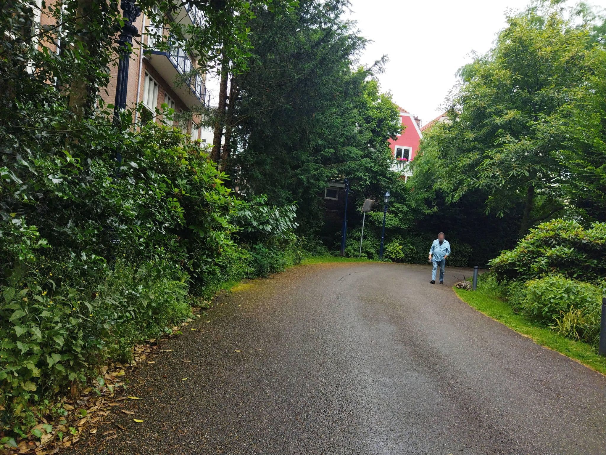 Street view near Maintenance Office, The Hague — © changchun1 (CC BY-SA · Mapillary)