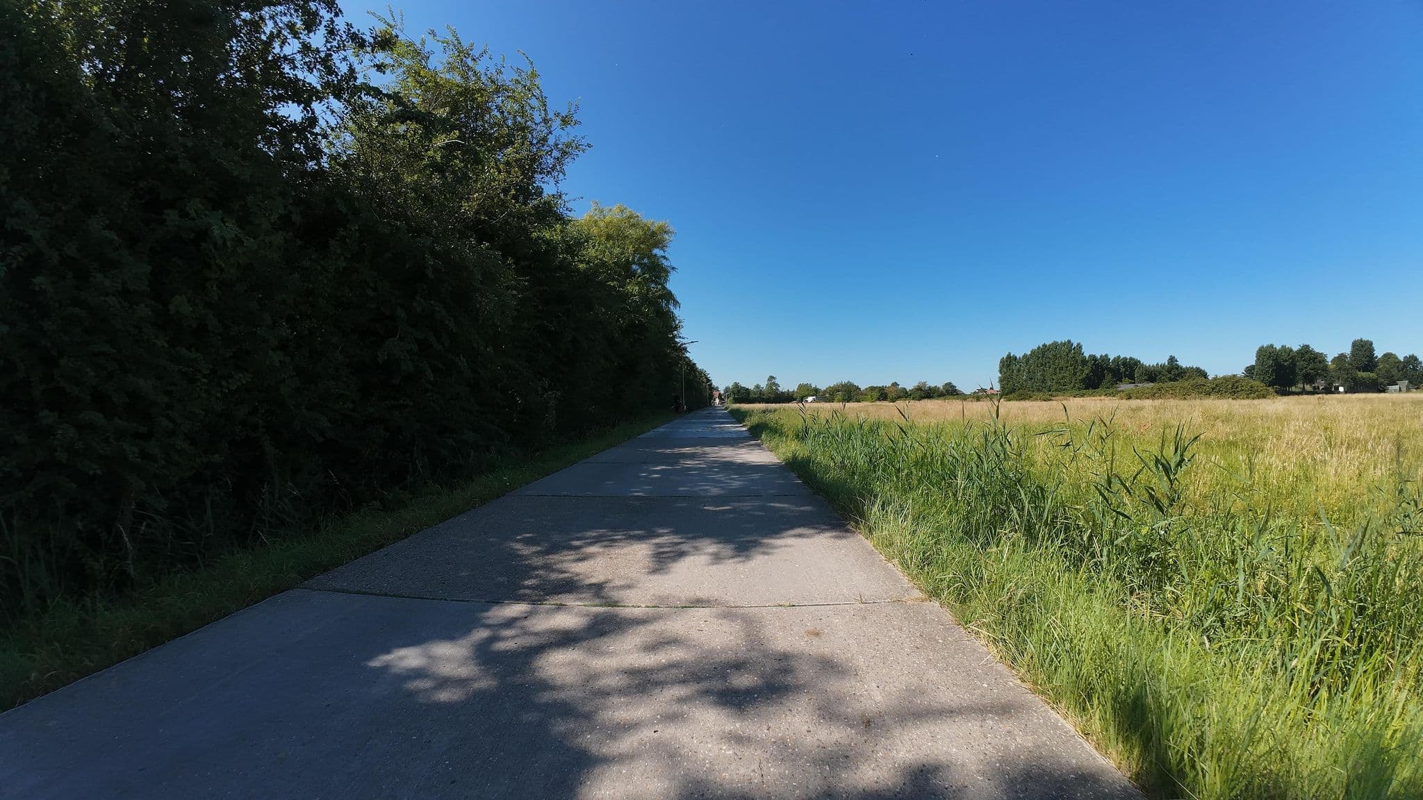Street view near Vakantiepark Koningshof, Rijnsburg — © teddy73 (CC BY-SA · Mapillary)
