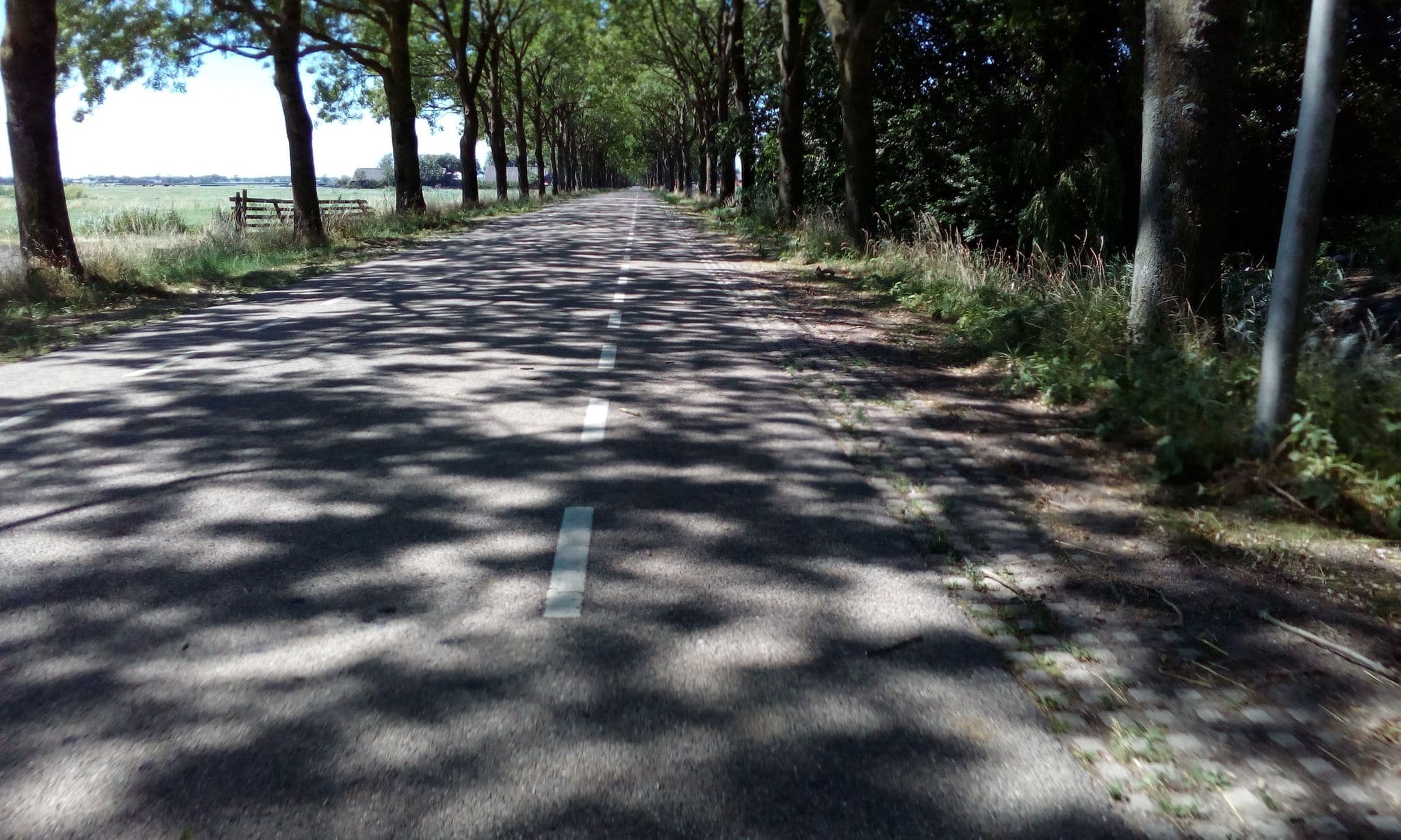 Street view near Farmlogies, Gouwsluis — © micmin1972 (CC BY-SA · Mapillary)