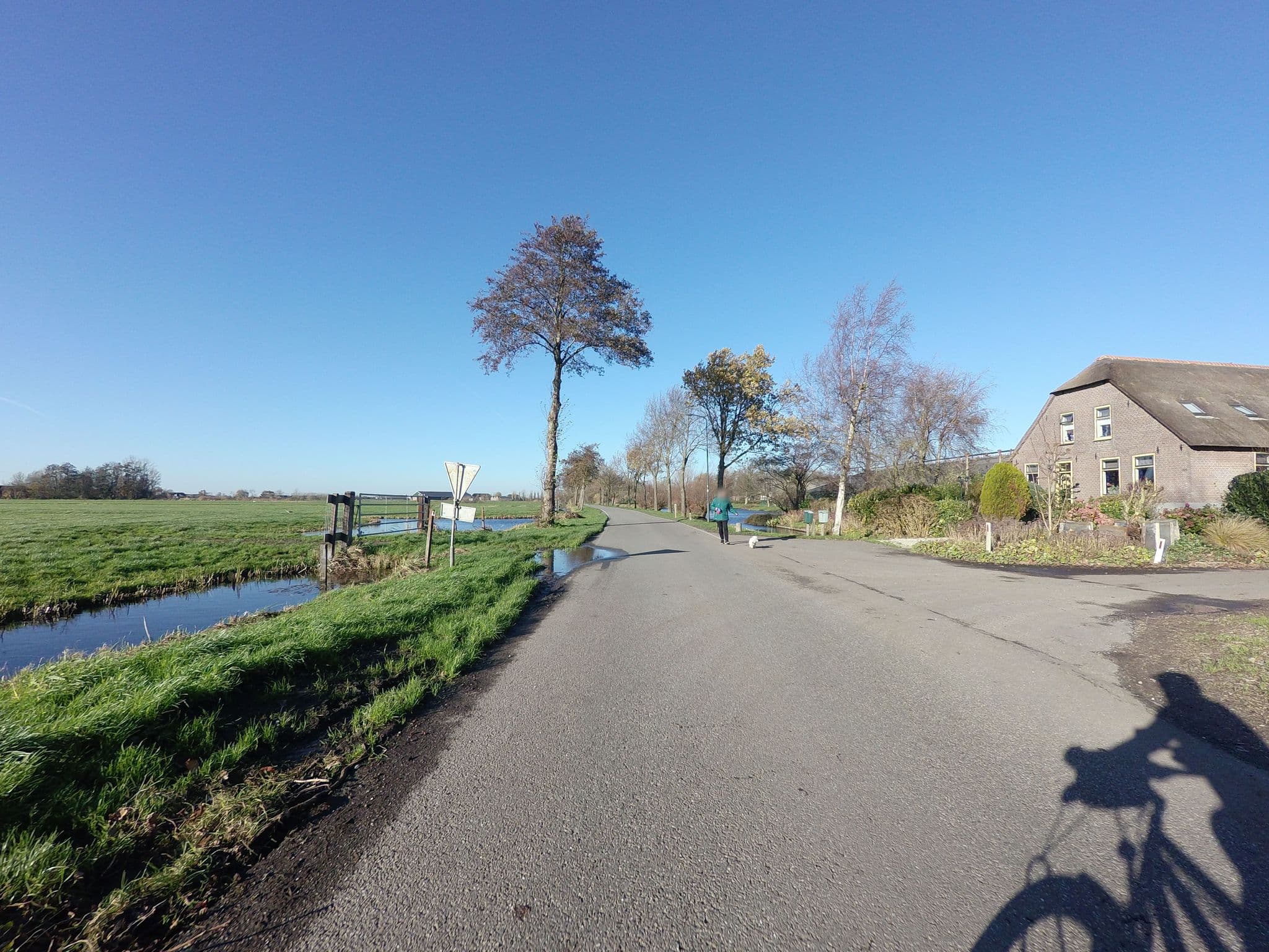 Street view near B. & B. Hortensia Eiland, Zegveld — © ankeric (CC BY-SA · Mapillary)