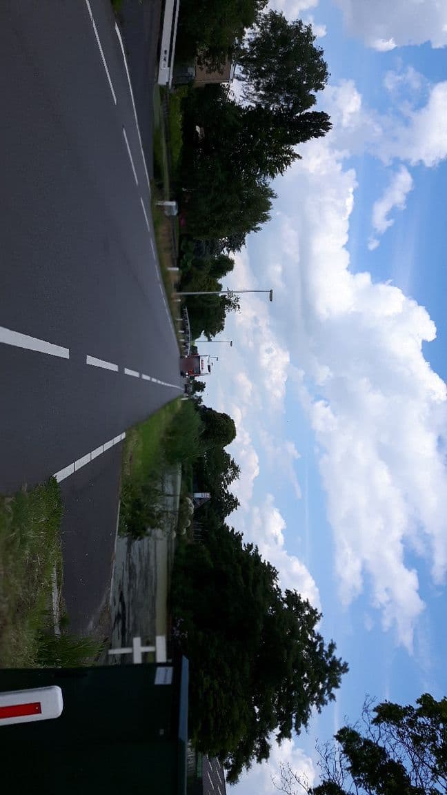 Street view near Farm stay Christinahoeve, Boskoop — © ankeric (CC BY-SA · Mapillary)
