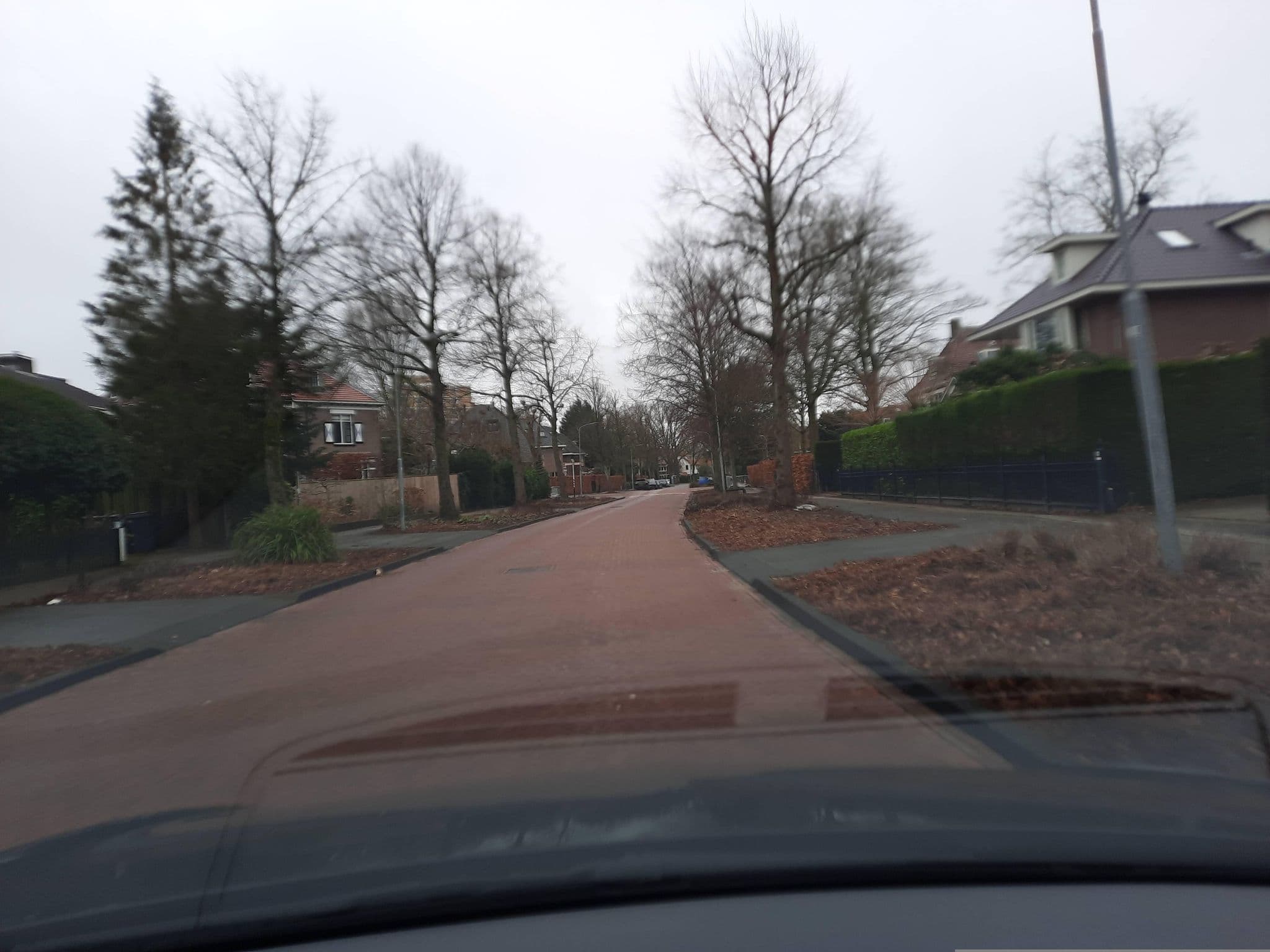 Street view near Tuinhuis Haarlem, Haarlem — © Lowiekse (CC BY-SA · Mapillary)