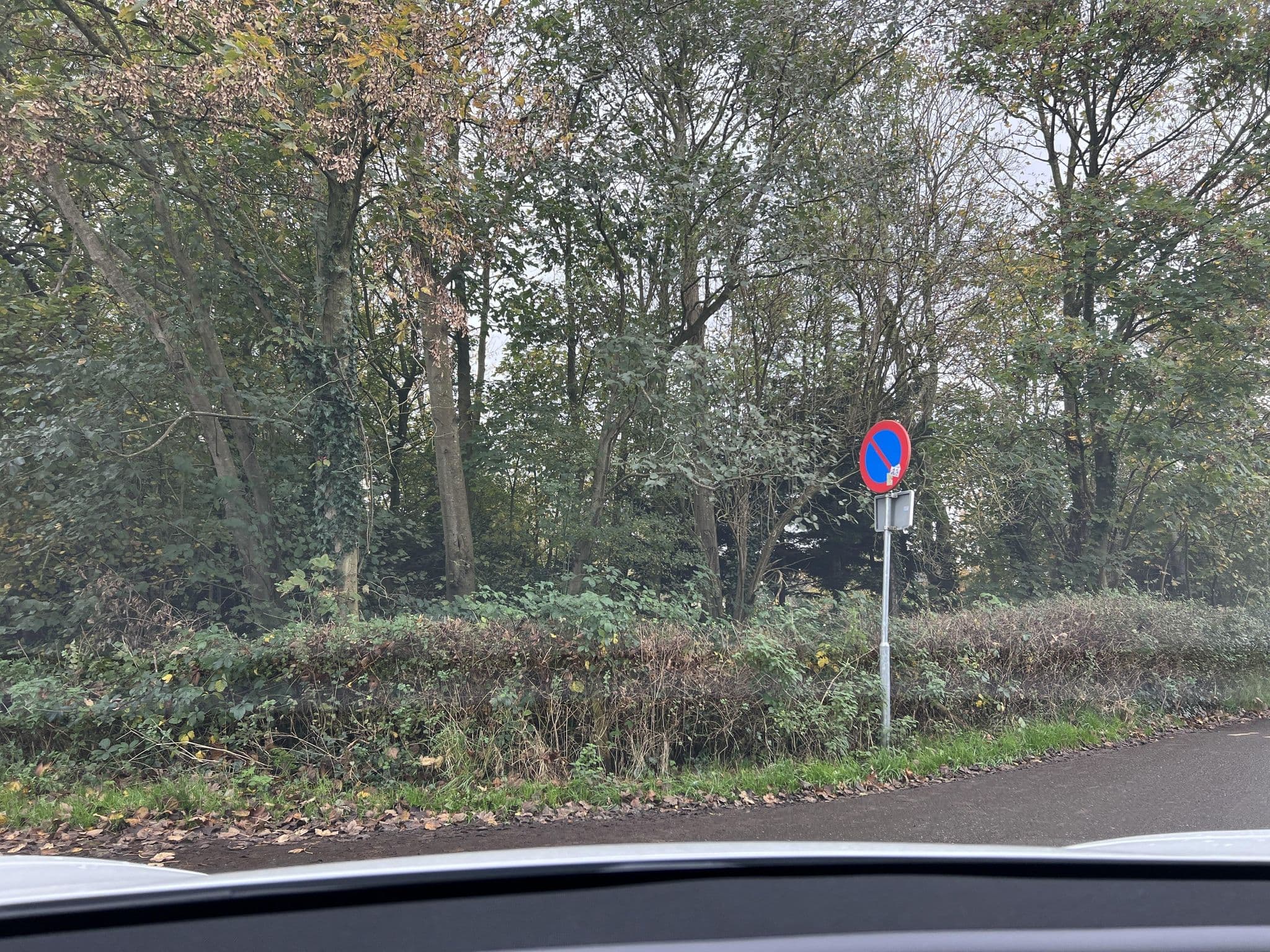 Street view near Buiten-Bergen, Schoorl — © ottor (CC BY-SA · Mapillary)