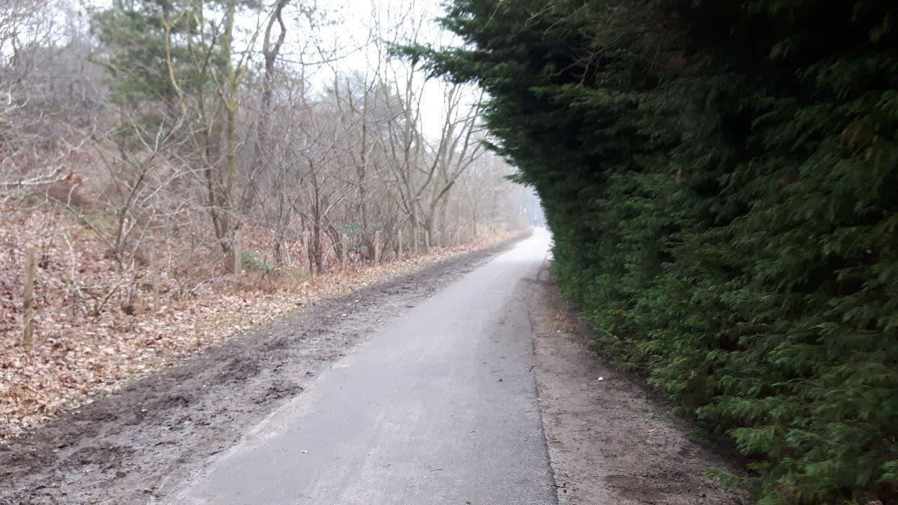 Street view near Buitenhuis Duinzicht, Schoorl — © ankeric (CC BY-SA · Mapillary)