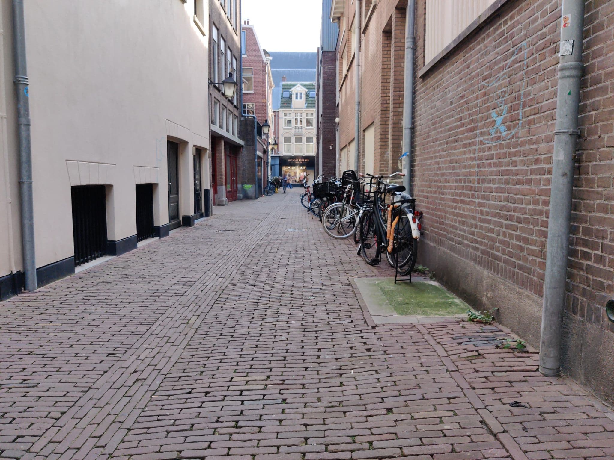 Street view near Rosendael, Utrecht — © tumblecow (CC BY-SA · Mapillary)