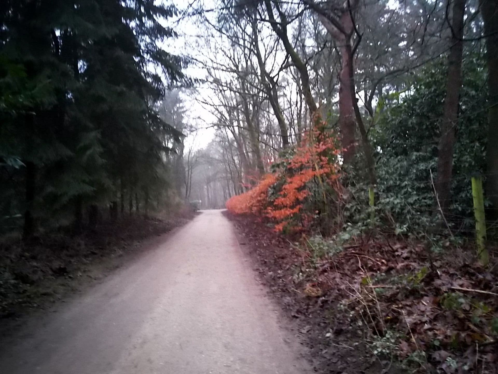 Street view near Oase, Garderen — © multi_wandel (CC BY-SA · Mapillary)