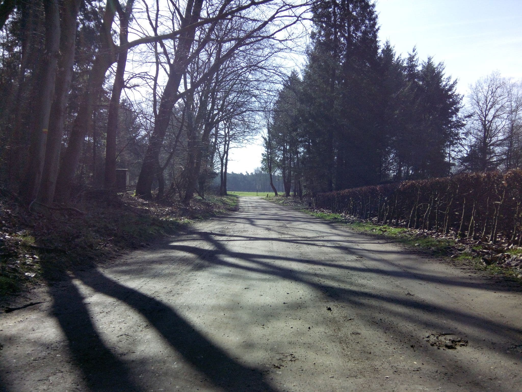 Street view near Vossenheem, Garderen — © peewee32 (CC BY-SA · Mapillary)