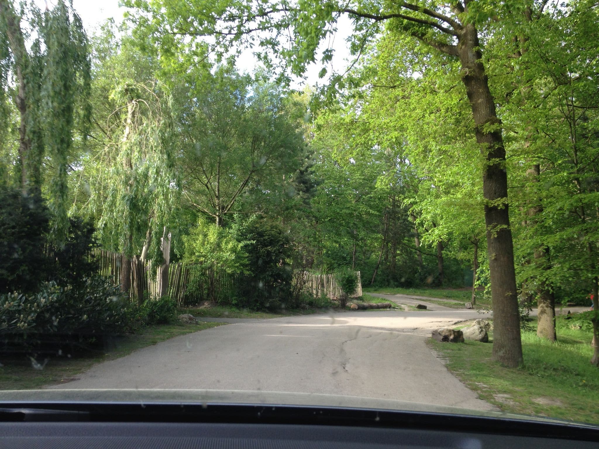 Street view near Cottage 313, Bunschoten — © teddy73 (CC BY-SA · Mapillary)