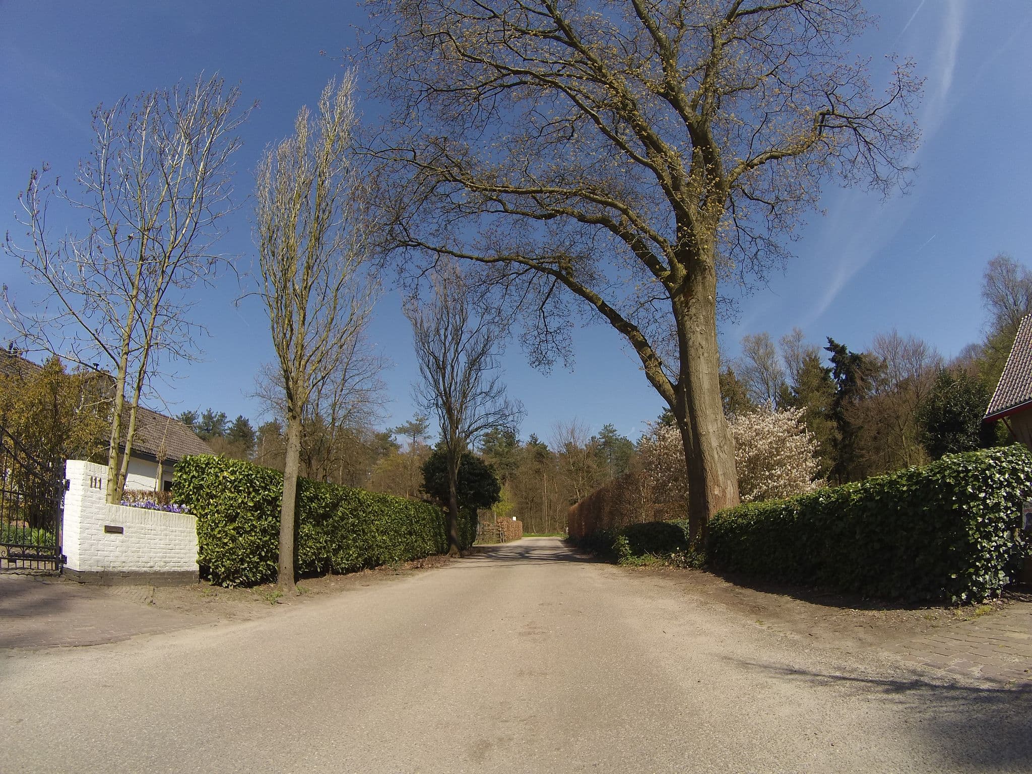 Street view near B&B Marmontweijde, Austerlitz — © ligfietser (CC BY-SA · Mapillary)