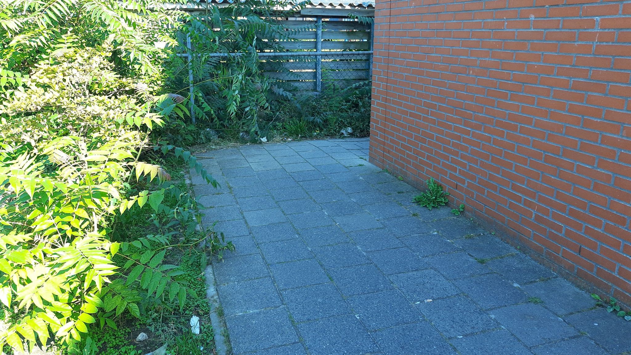 Street view near Sporthal De Sprong, Enkhuizen — © ankeric (CC BY-SA · Mapillary)