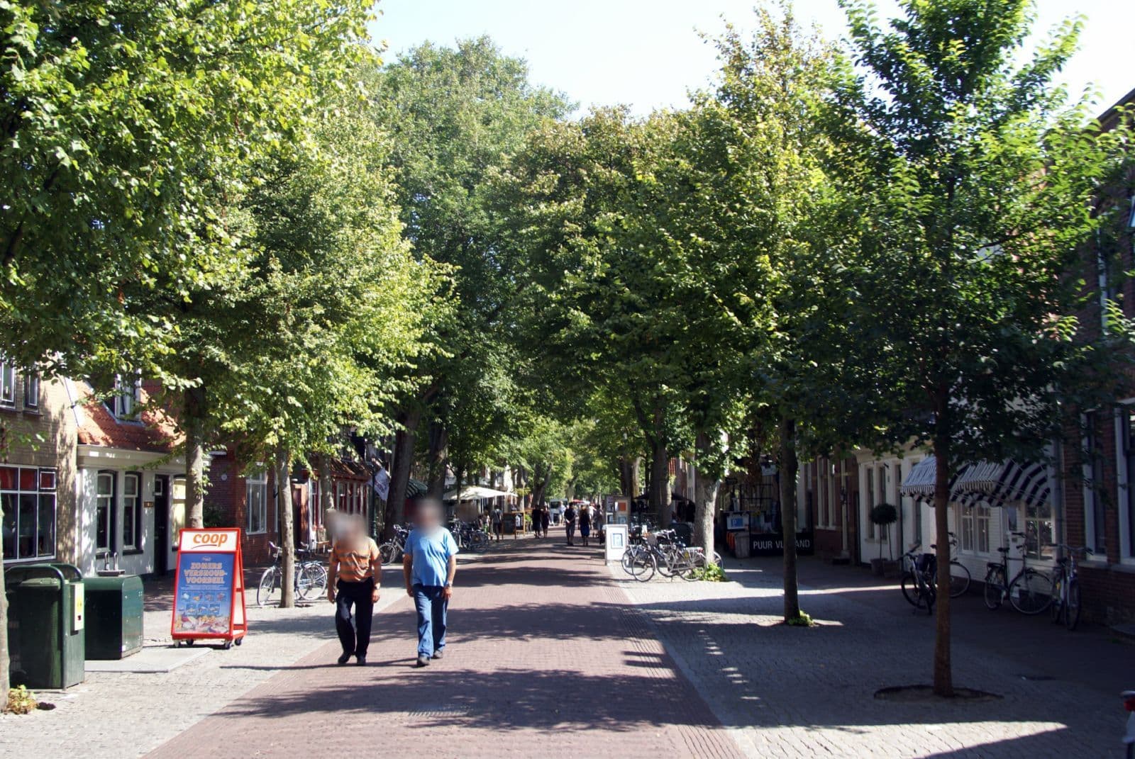 Street view near B&B De Bierman, Oost-Vlieland — © txllxt (CC BY-SA · Mapillary)