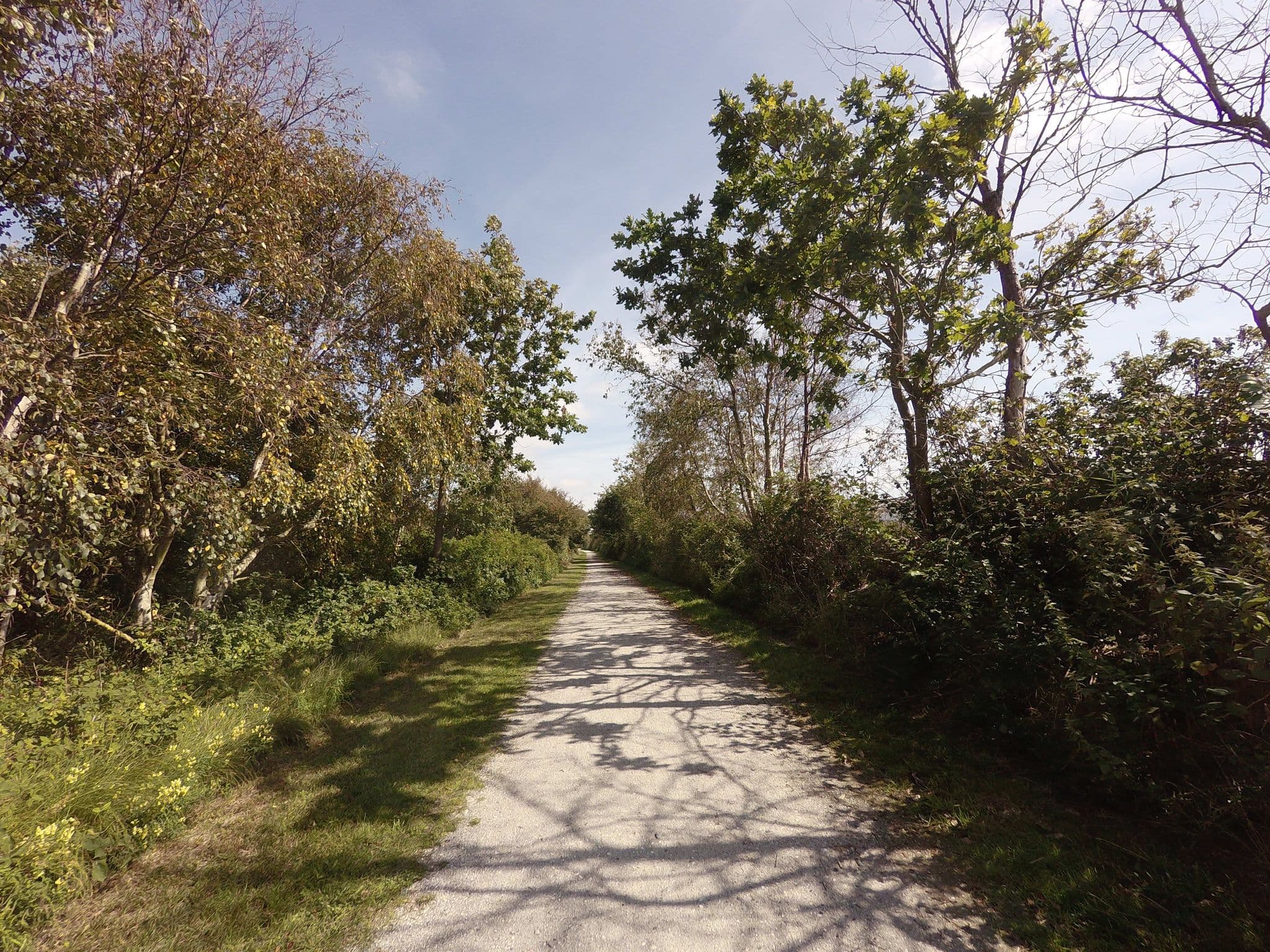 Street view near Huize Ouwens Ameland, Hollum — © ankeric (CC BY-SA · Mapillary)