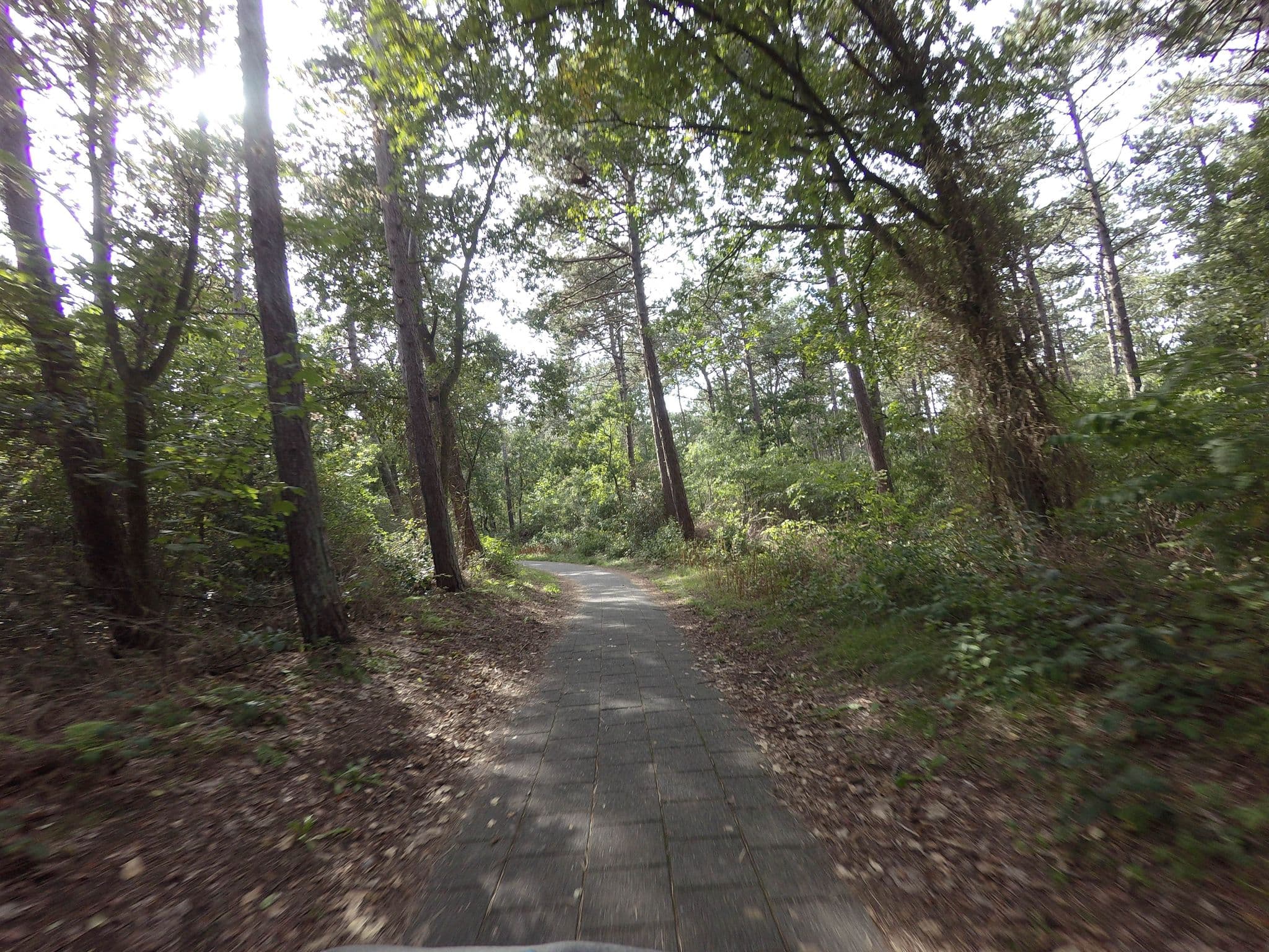Street view near De Pelikaan Texel Appartement 80, De Koog — © ankeric (CC BY-SA · Mapillary)