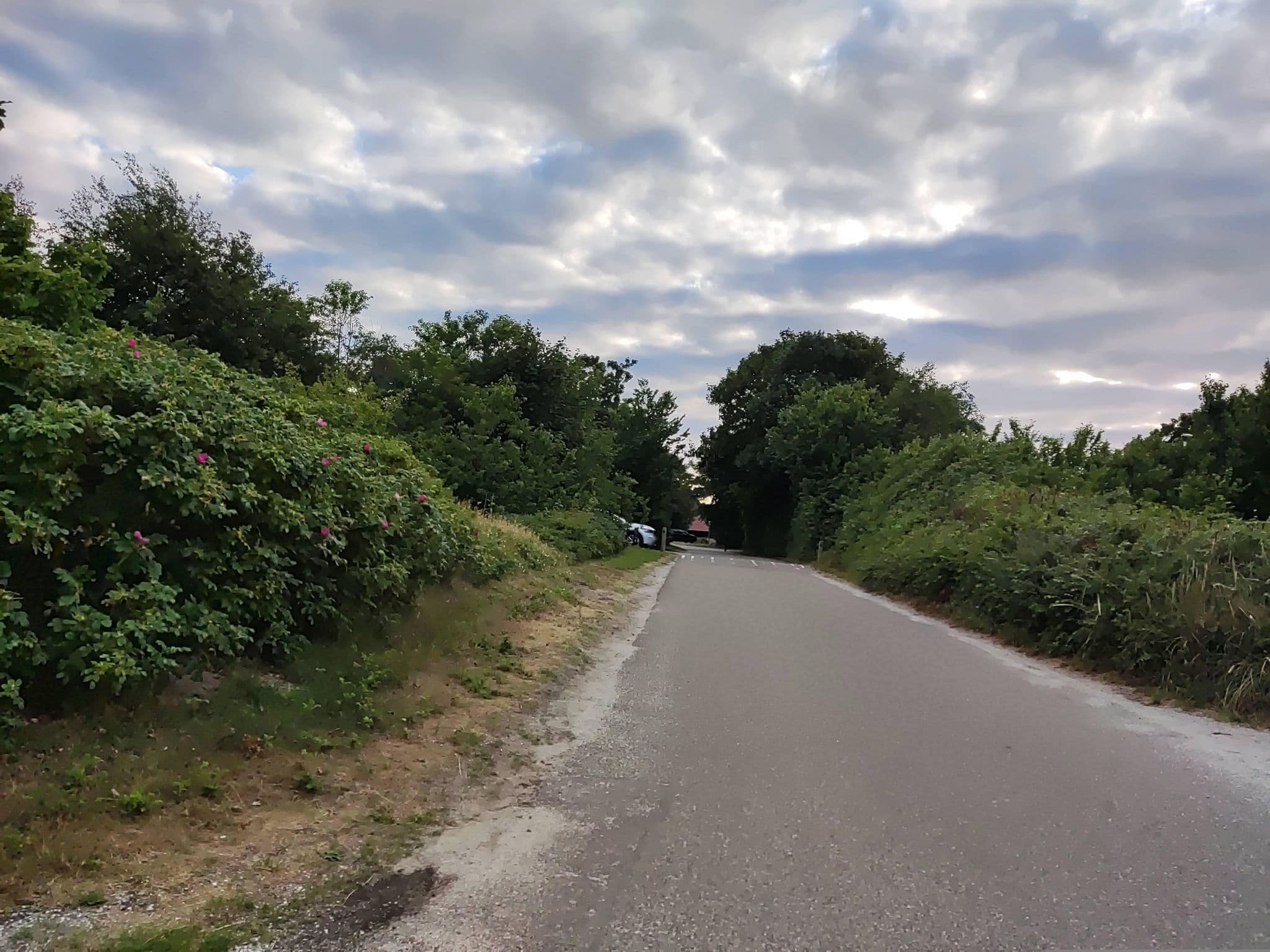 Street view near landal slufftervallei 222, De Koog — © t_hartung (CC BY-SA · Mapillary)
