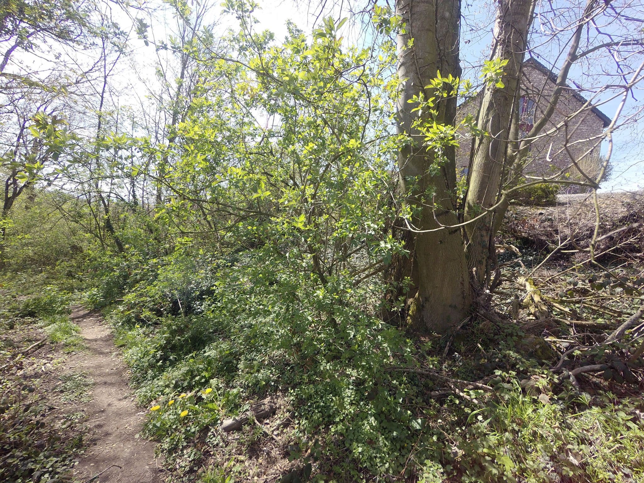Street view near Hoeve Snauwenberg, Banholt — © madel (CC BY-SA · Mapillary)