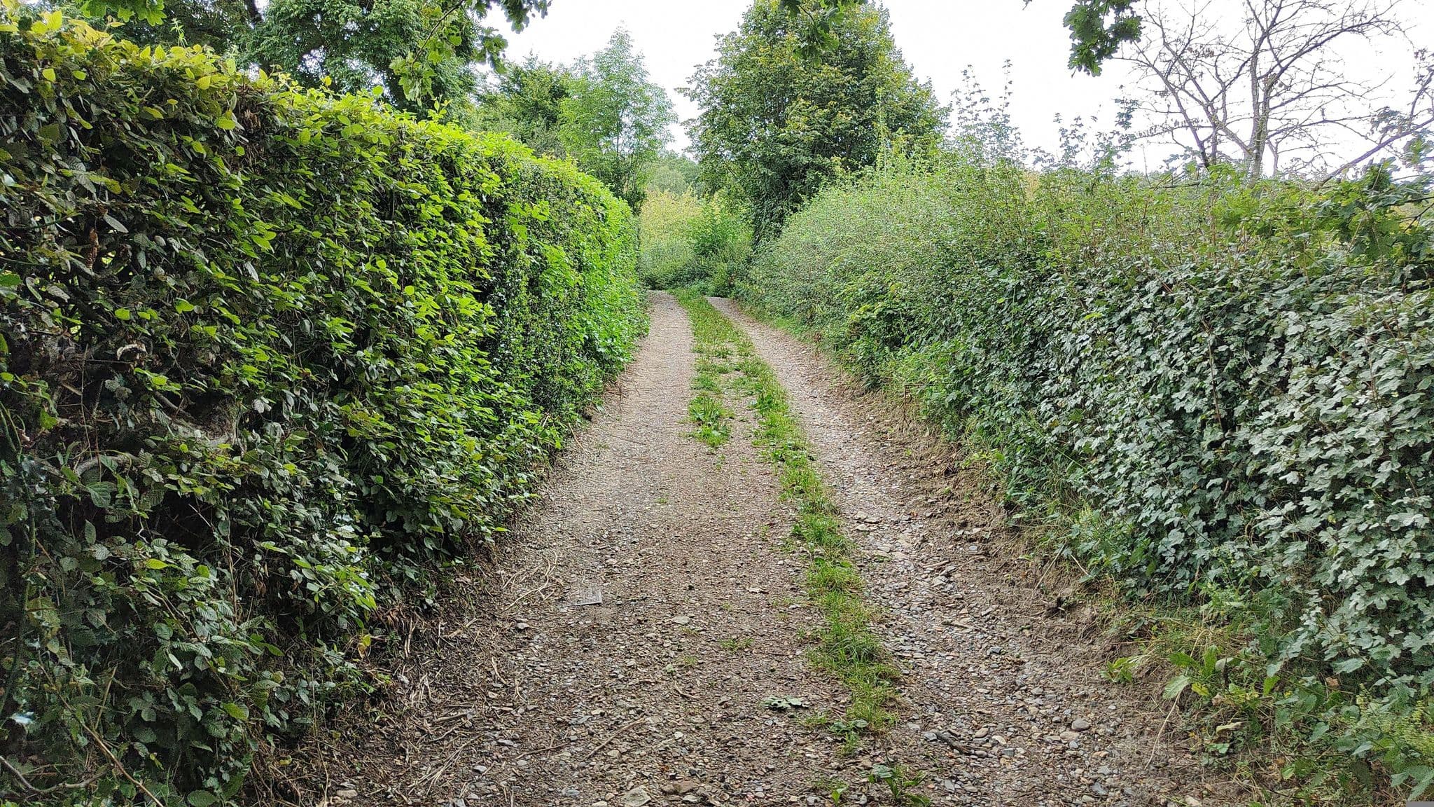 Street view near Cottessen 14, Vijlen — © jeroenrozema74 (CC BY-SA · Mapillary)