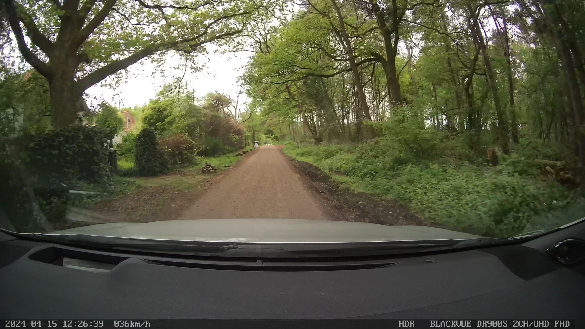 Street view near Miekes Boesj, Koningsbosch — © madel (CC BY-SA · Mapillary)