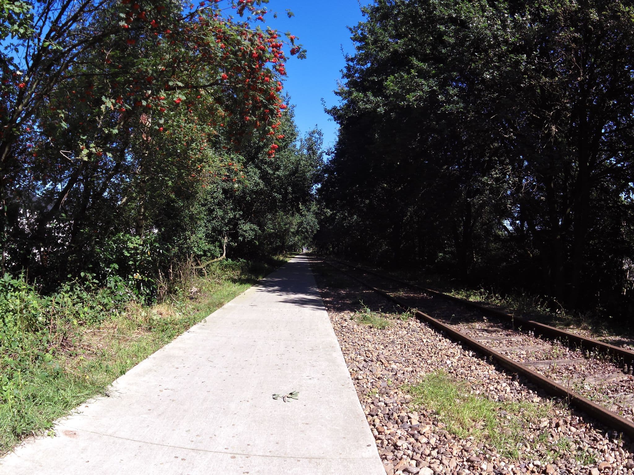 Street view near Seven Hills, Groesbeek — © marczoutendijk (CC BY-SA · Mapillary)