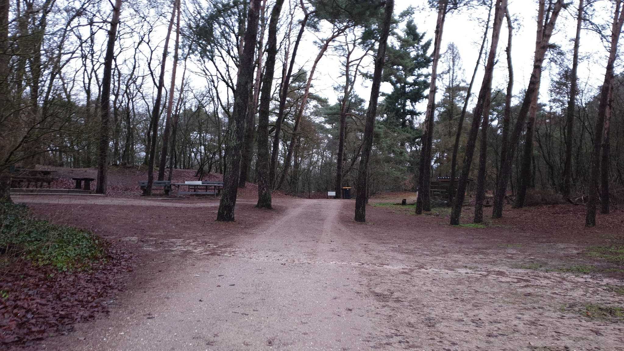 Street view near B&B de Vogelvlucht, Otterlo — © patrikja (CC BY-SA · Mapillary)