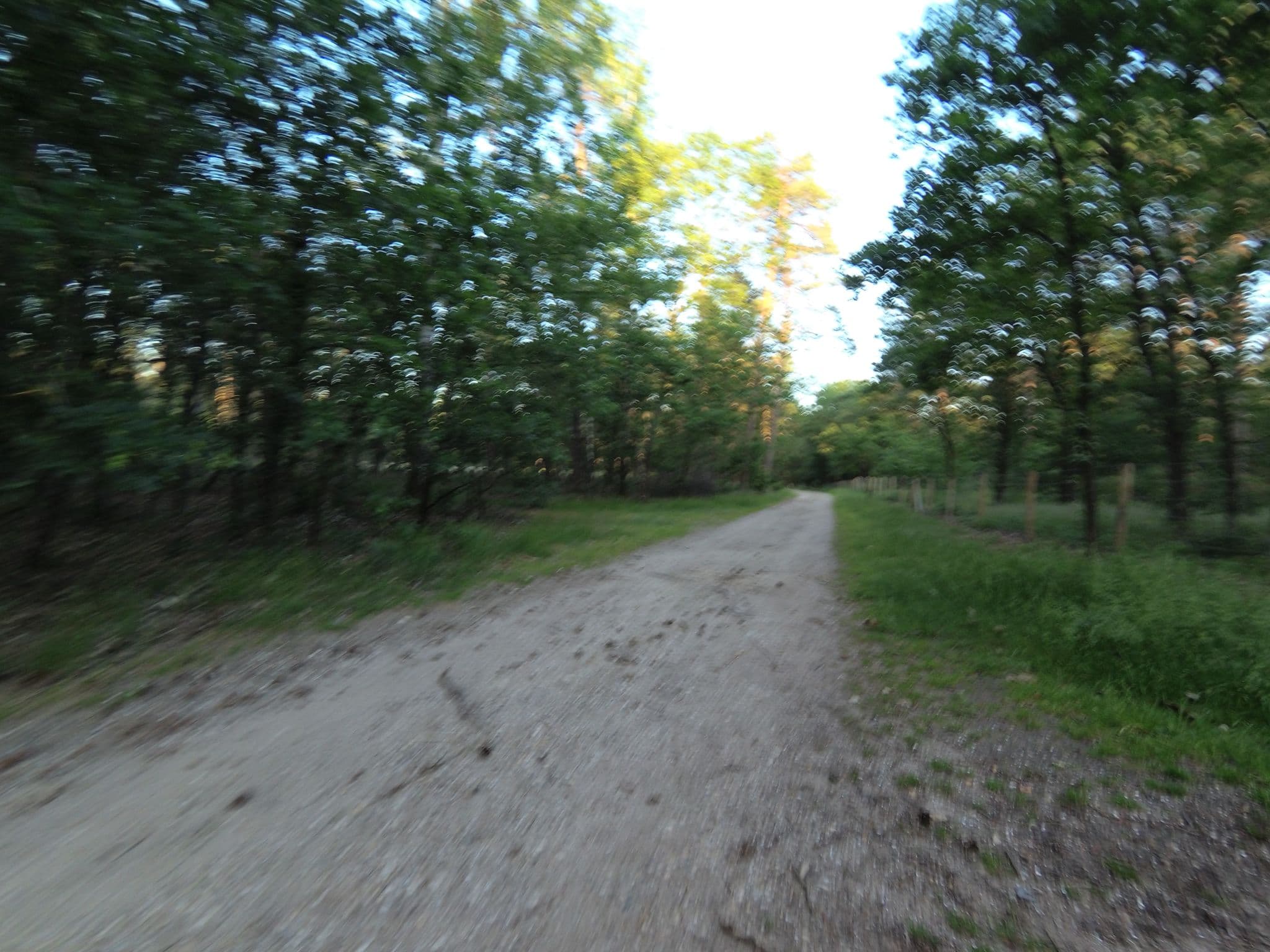 Street view near Landal Bungalow 275, Beekbergen — © peewee32 (CC BY-SA · Mapillary)