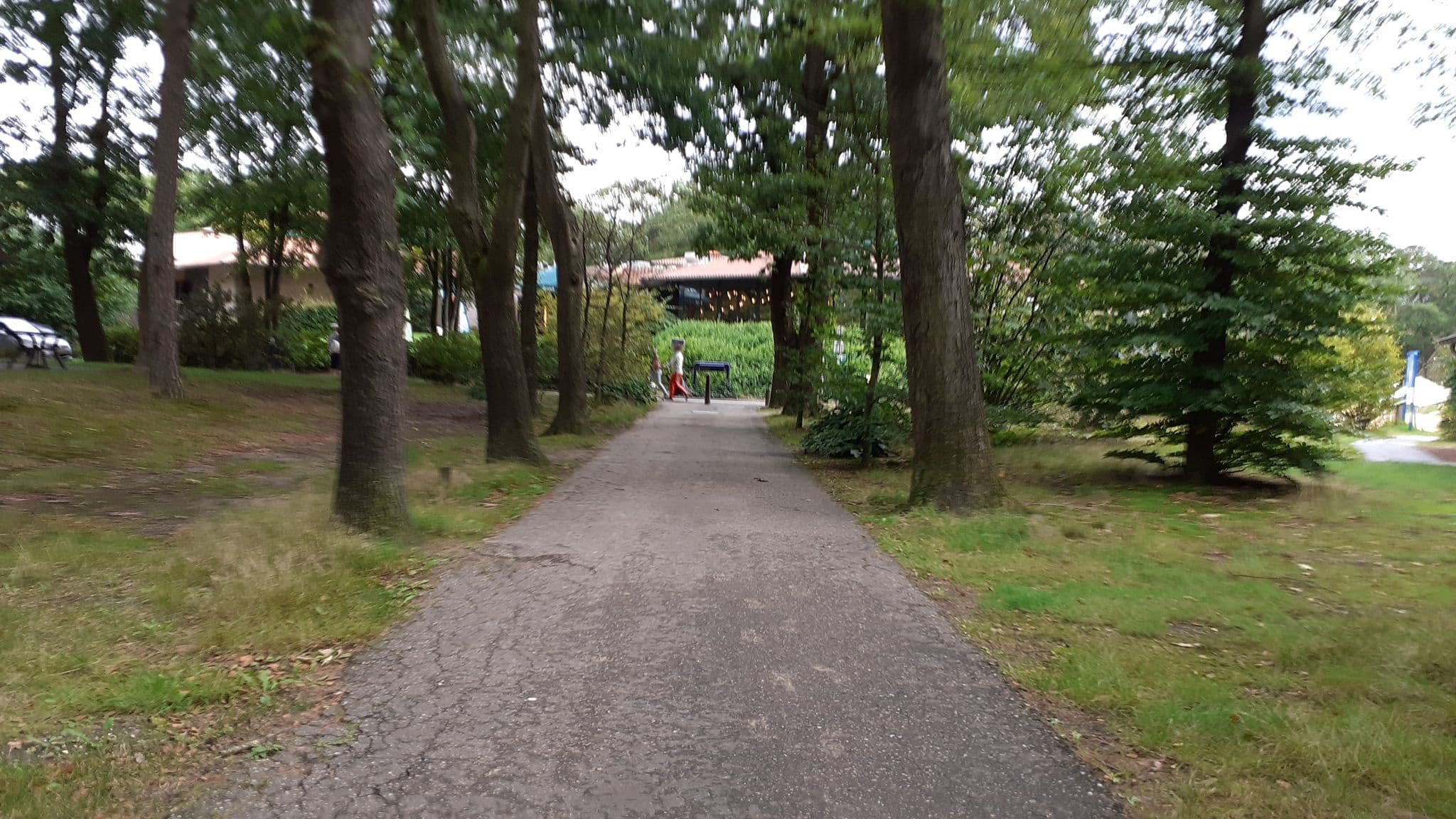 Street view near Bungalow 279, t Loo — © t_hartung (CC BY-SA · Mapillary)