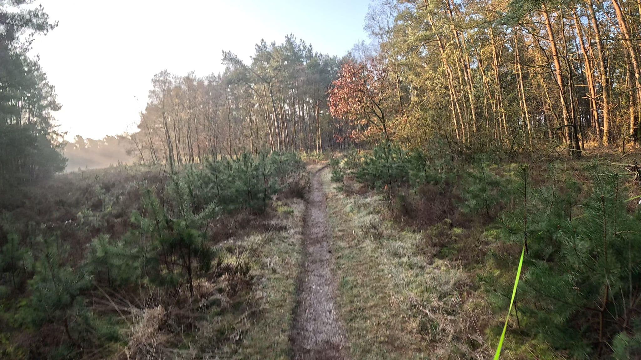 Street view near B&B Viva la Veluwe, Nunspeet — © thewizard (CC BY-SA · Mapillary)