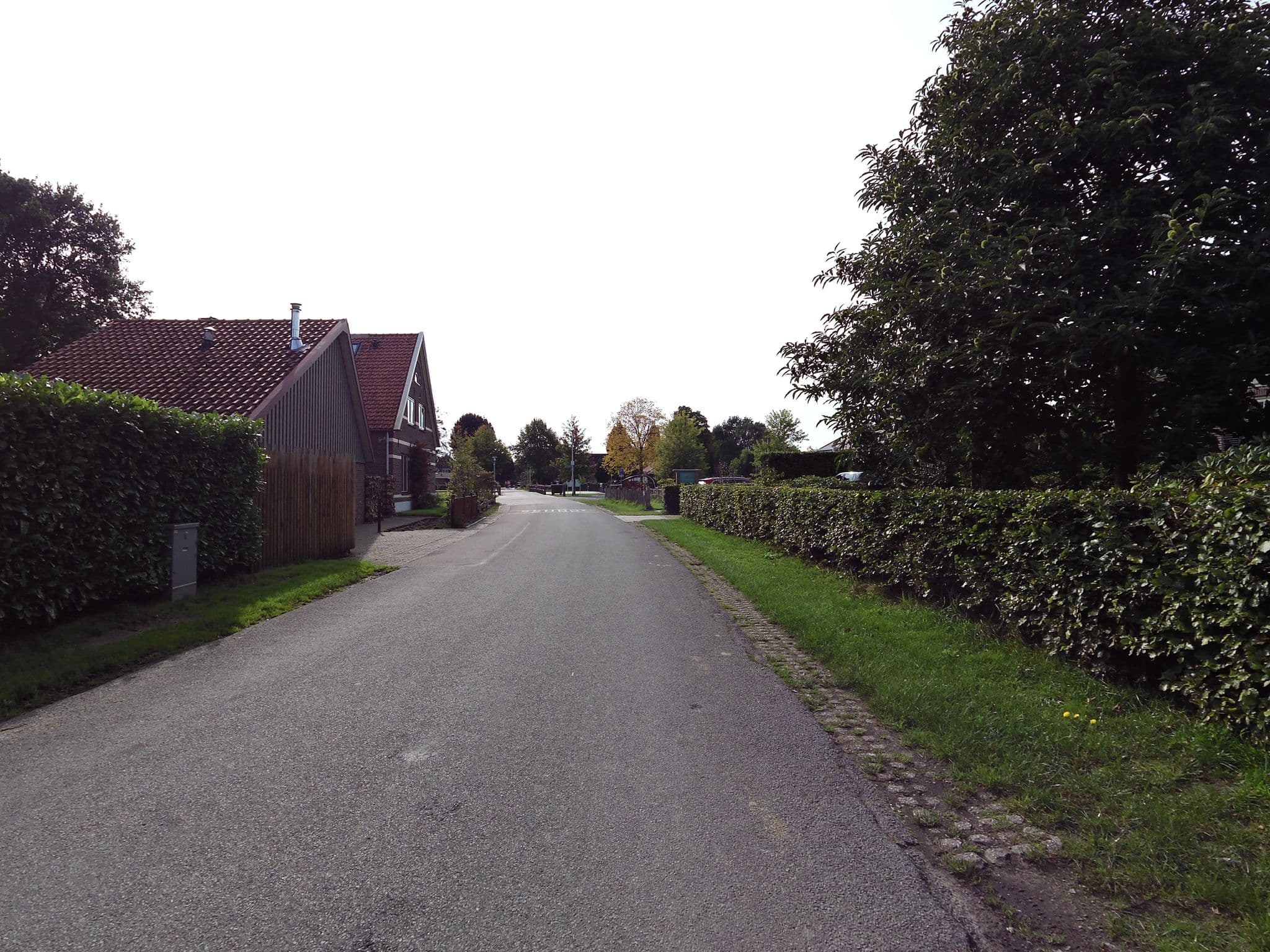 Street view near Dromen in Drempt, Doesburg — © wimmel (CC BY-SA · Mapillary)
