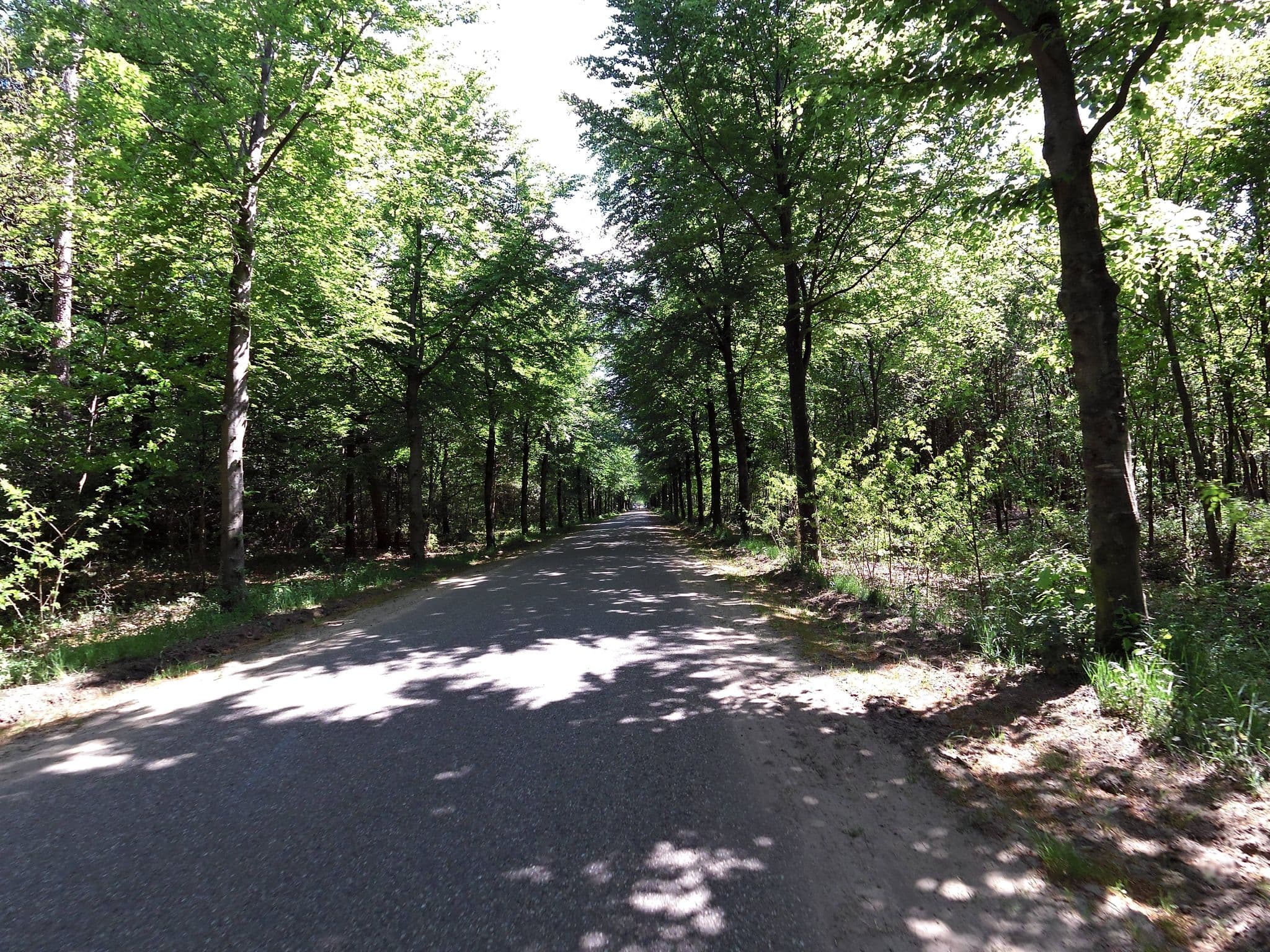 Street view near Eekhoorn - Landgoed Zelle, Ruurlo — © wimmel (CC BY-SA · Mapillary)