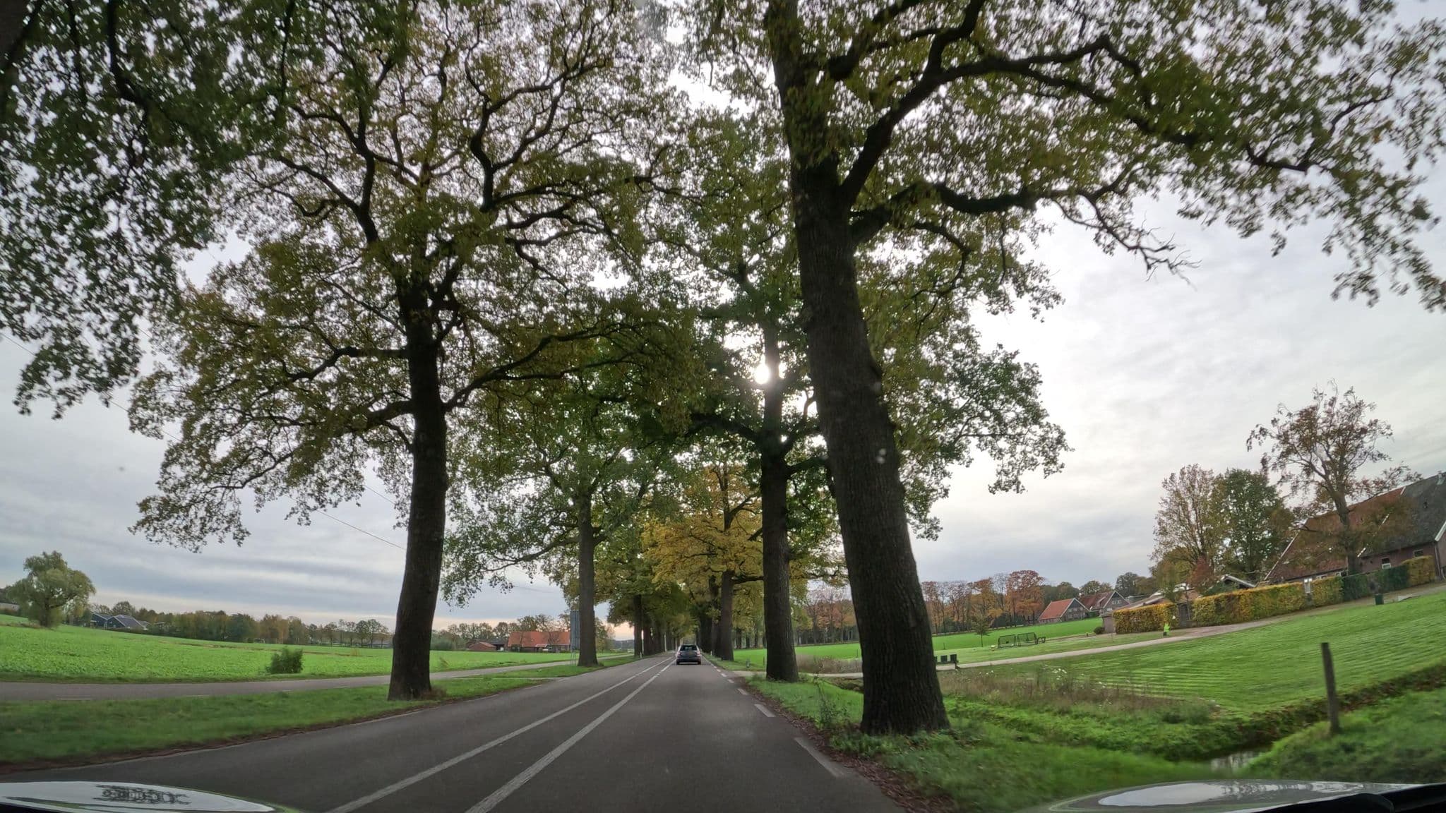 Street view near Huize Bos, Groenlo — © thewizard (CC BY-SA · Mapillary)