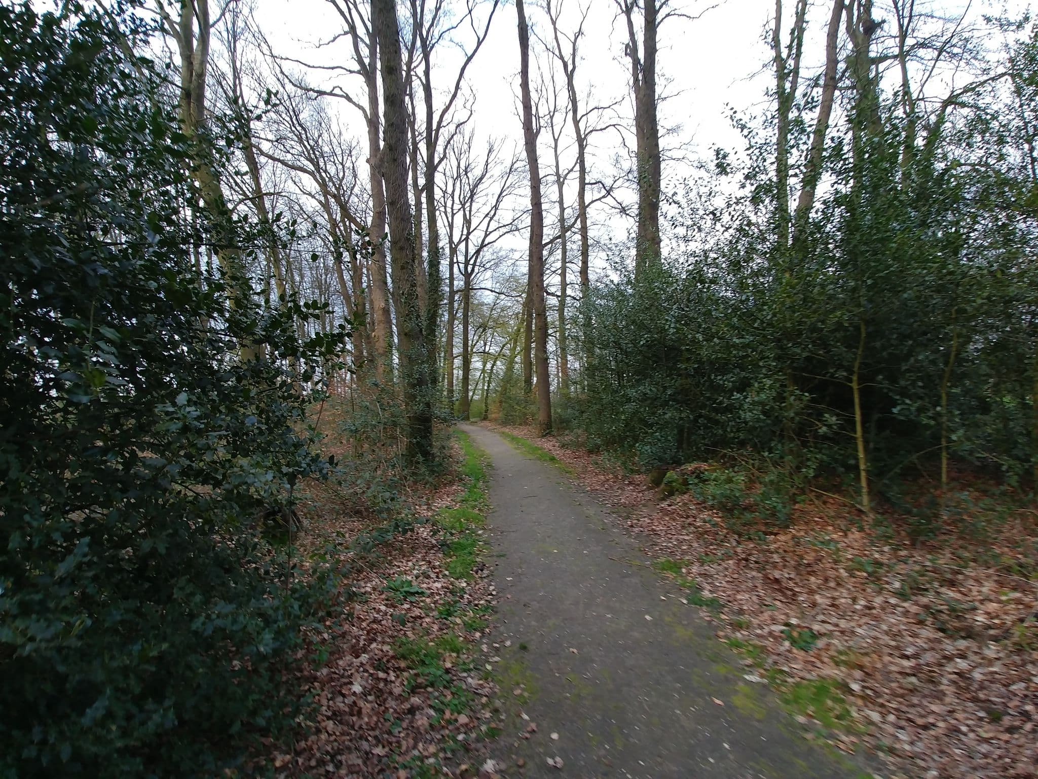 Street view near Hunderen, Twello — © multi_wandel (CC BY-SA · Mapillary)