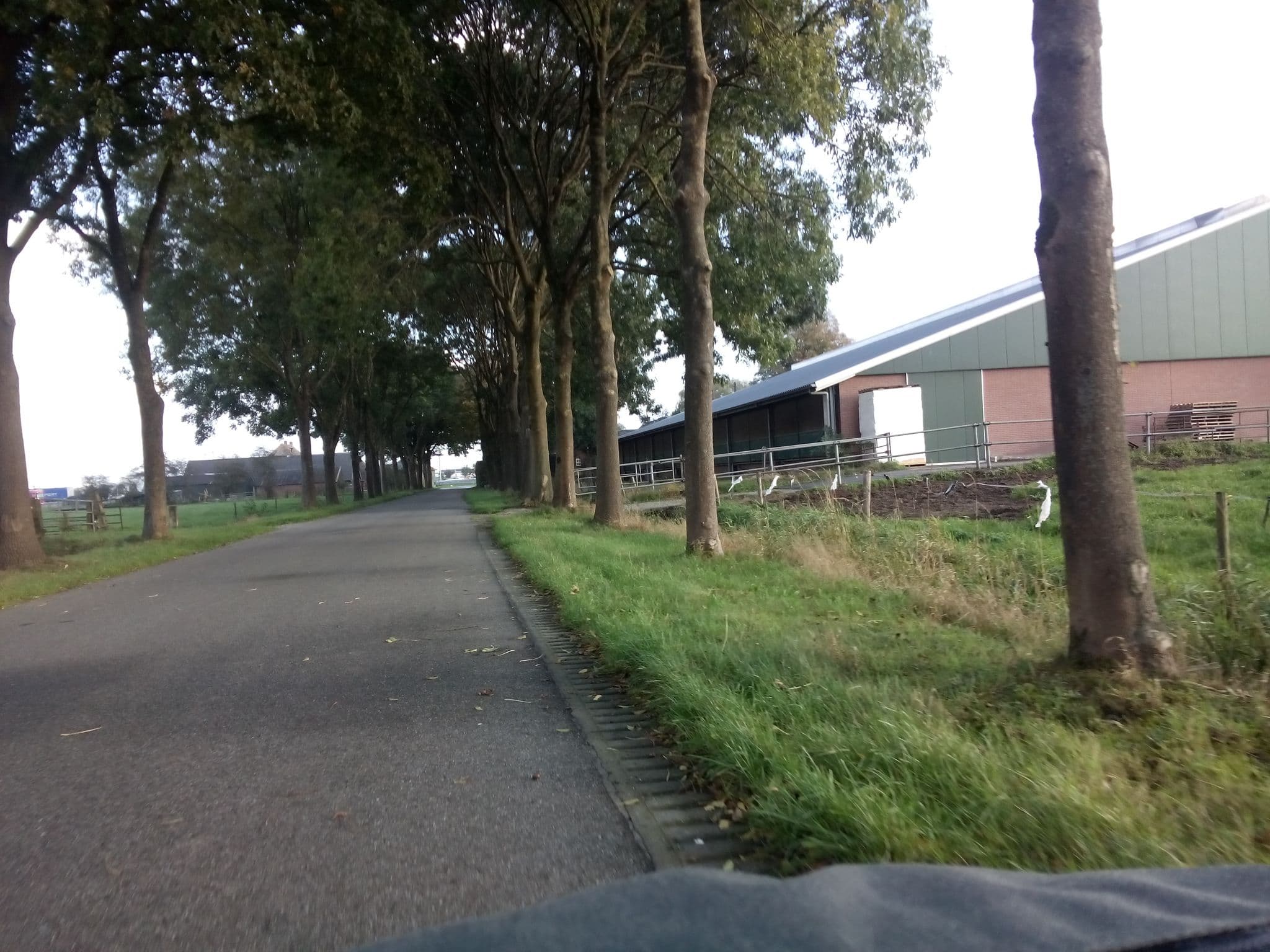 Street view near De Rheezerkamer, Berkum — © smsm1 (CC BY-SA · Mapillary)