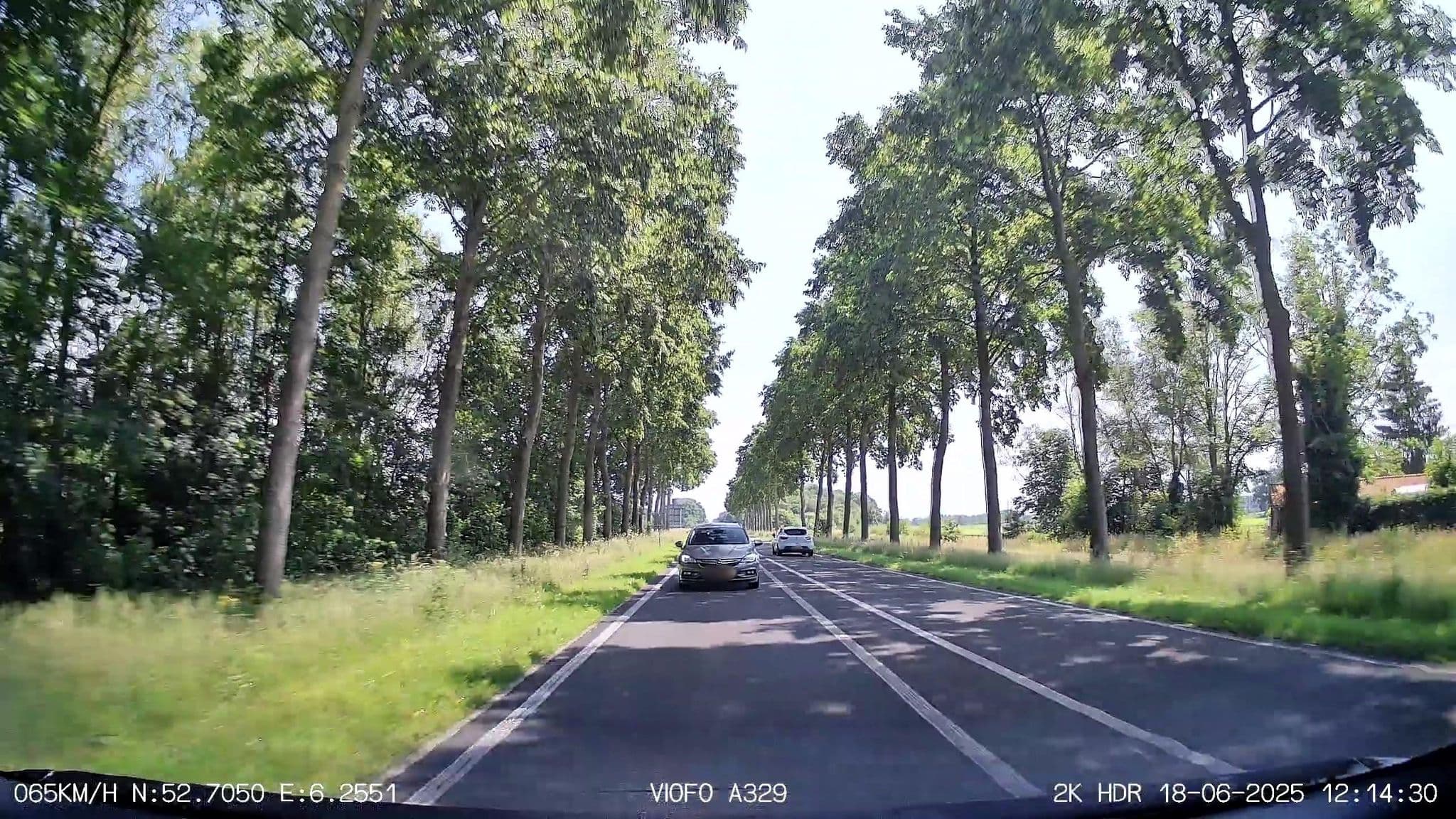 Street view near Molenbergh, Ruinerwold — © thewizard (CC BY-SA · Mapillary)