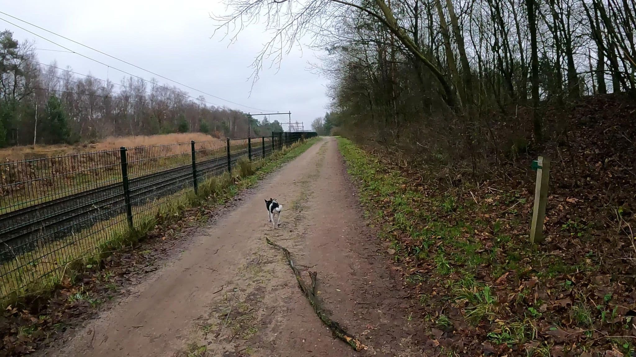 Street view near Landal Twenhaarsveld / Huisje 410, Rijssen — © thewizard (CC BY-SA · Mapillary)