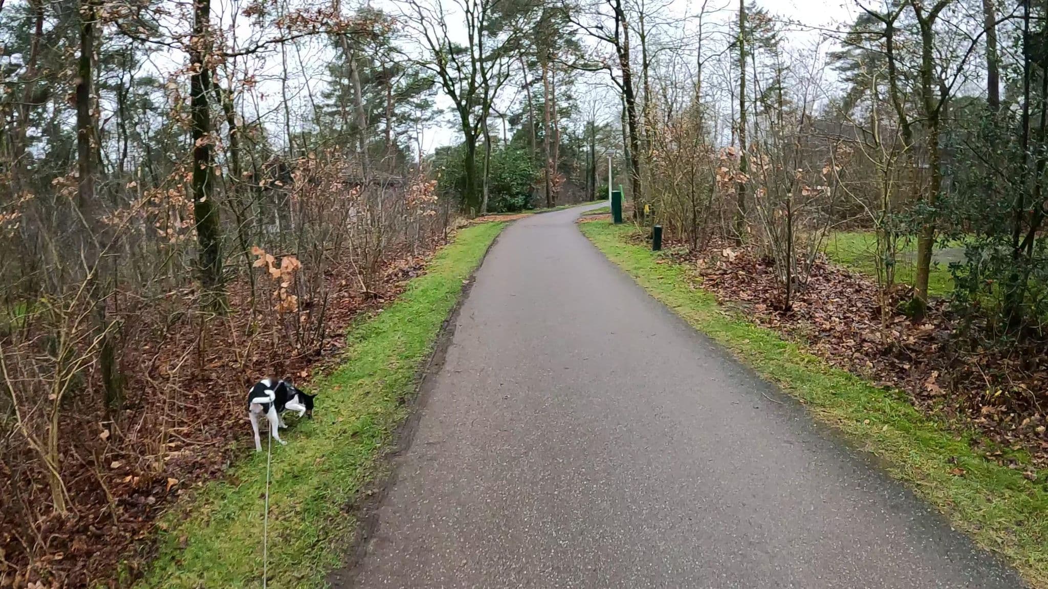 Street view near Landal Twenhaarsveld Huisje 121, Rijssen — © thewizard (CC BY-SA · Mapillary)