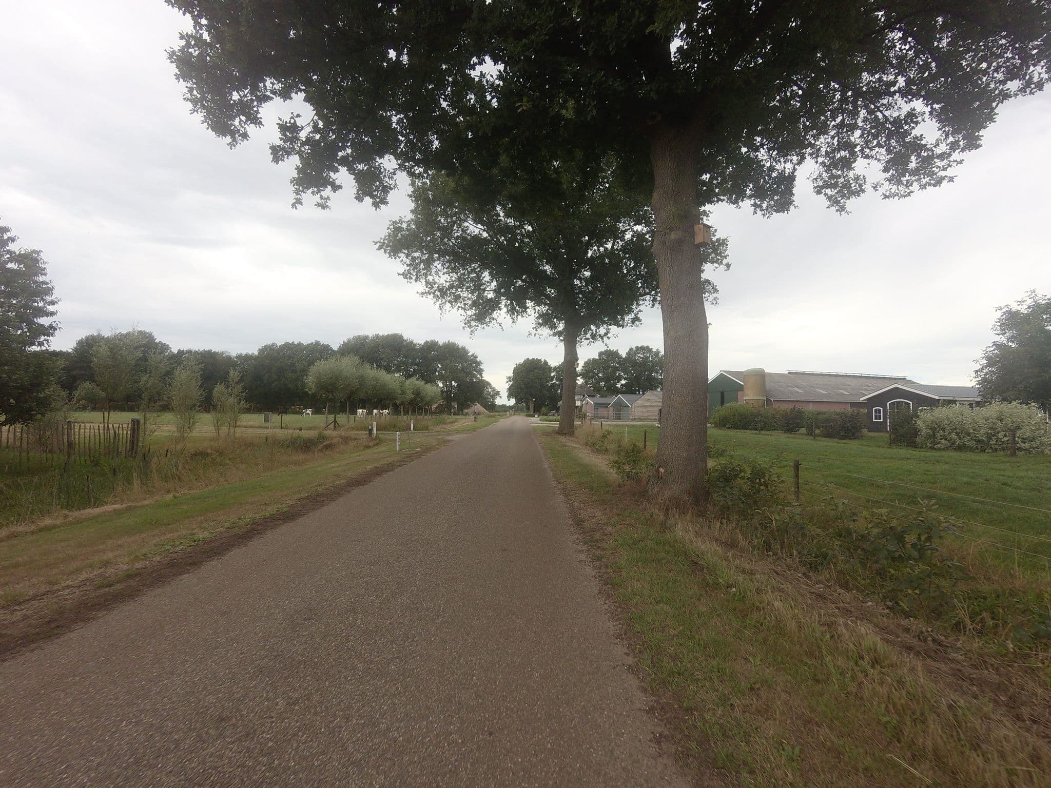 Street view near De Breenhoeve, Haarle — © ankeric (CC BY-SA · Mapillary)